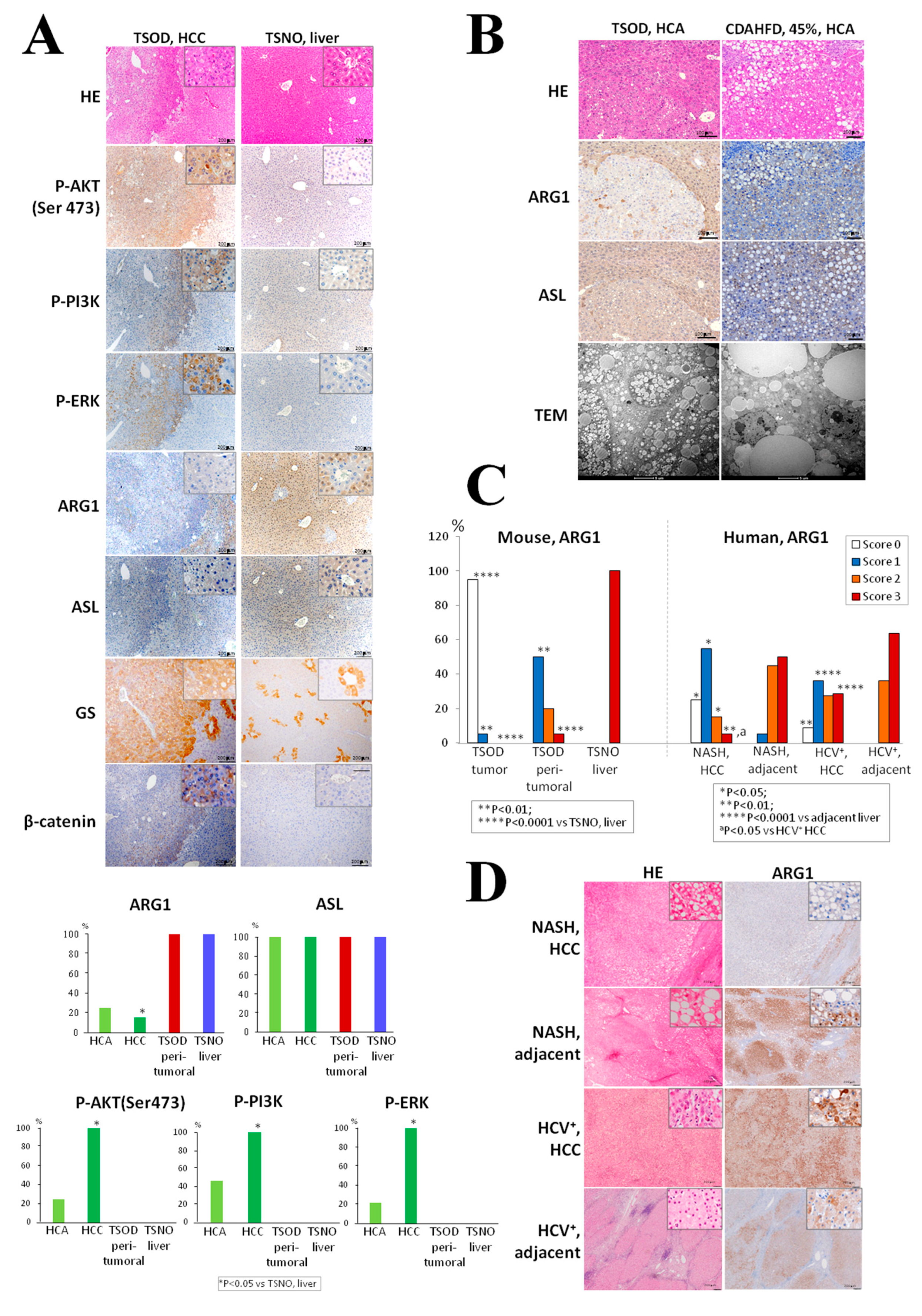Ijms 21 07746 g004 Ijms 21 07746 g004