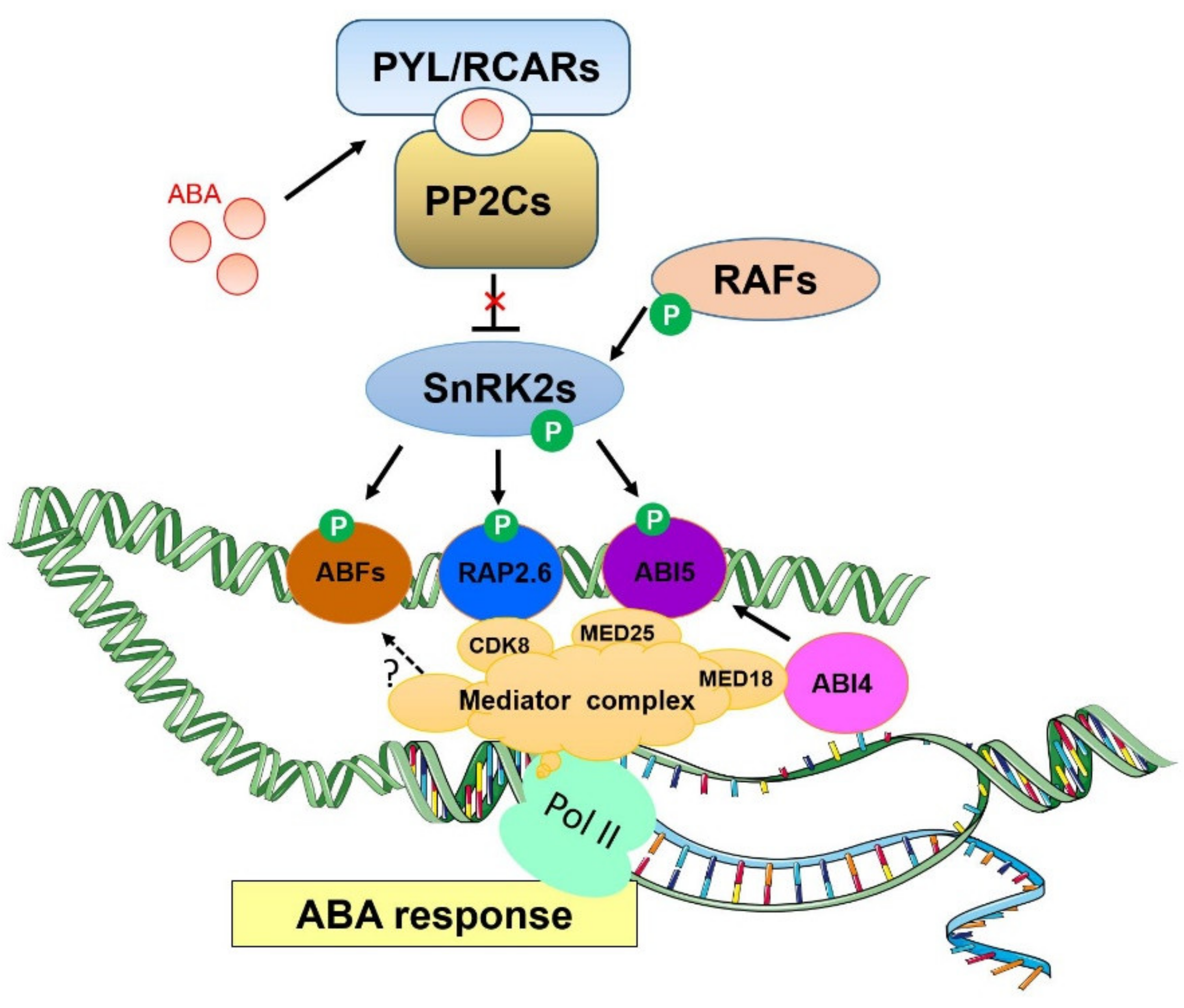 Ijms 21 07755 g001 Ijms 21 07755 g001