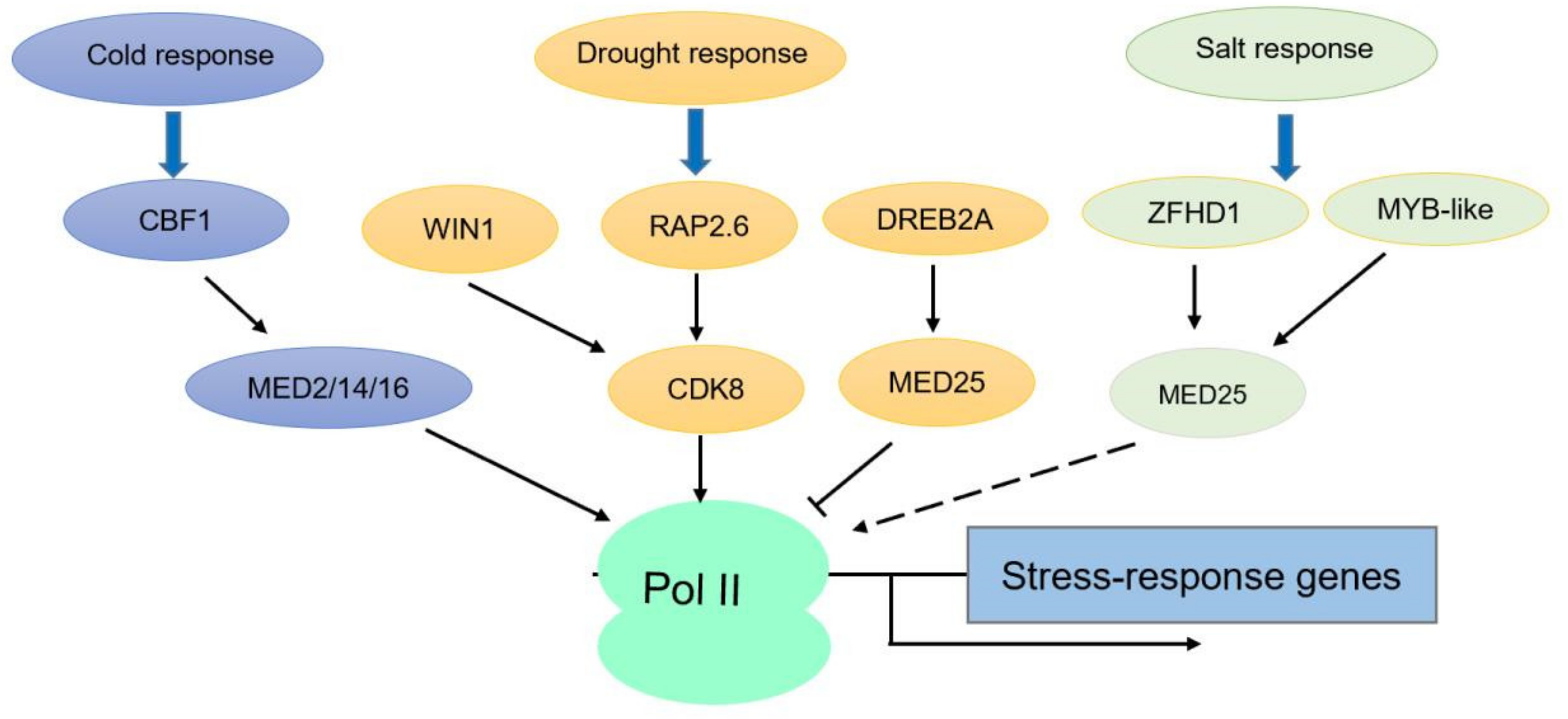 Ijms 21 07755 g002 Ijms 21 07755 g002