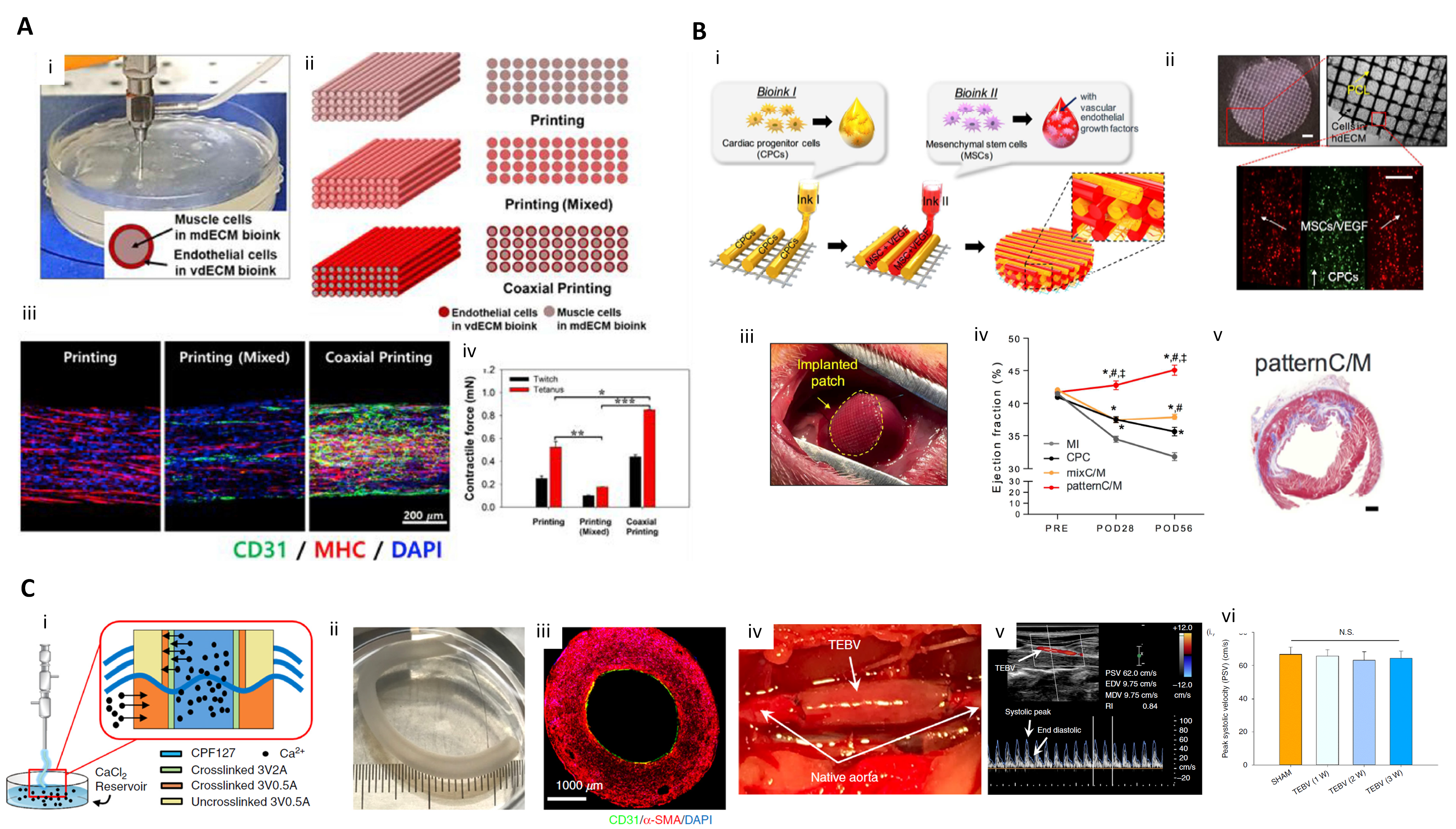 IJMS | Free Full-Text | 3D Cell Printing of Tissue/Organ-Mimicking 