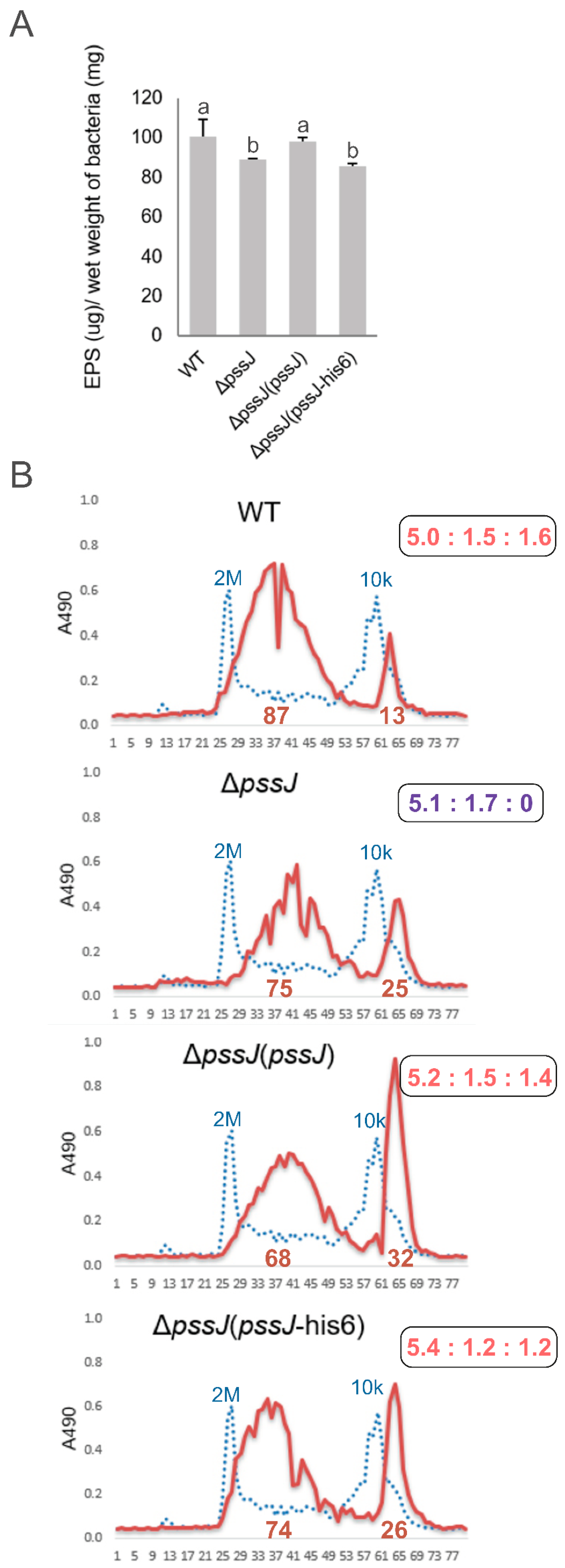 Ijms 21 07764 g005 Ijms 21 07764 g005