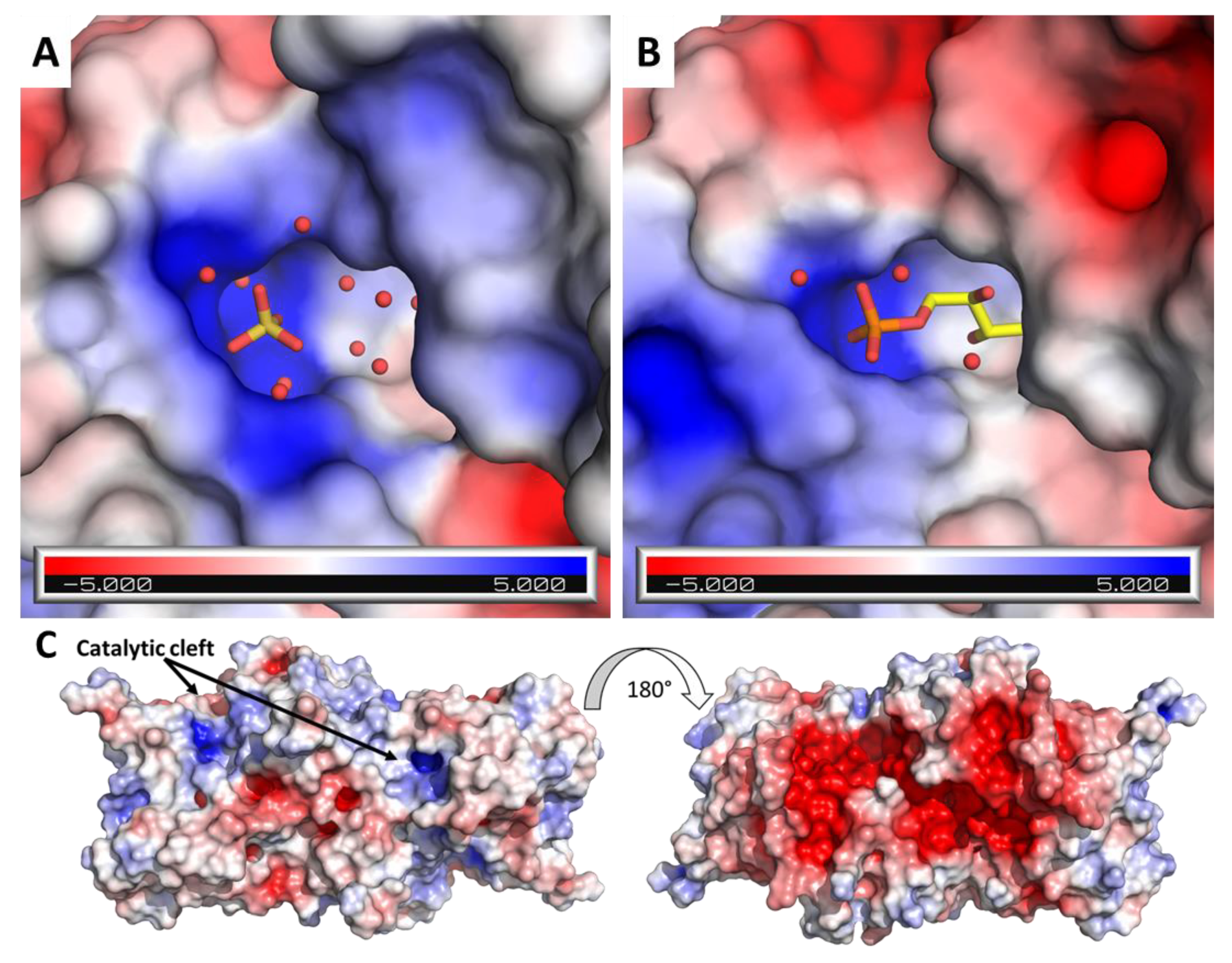 IJMS Free Full Text High Resolution Crystal Structure of