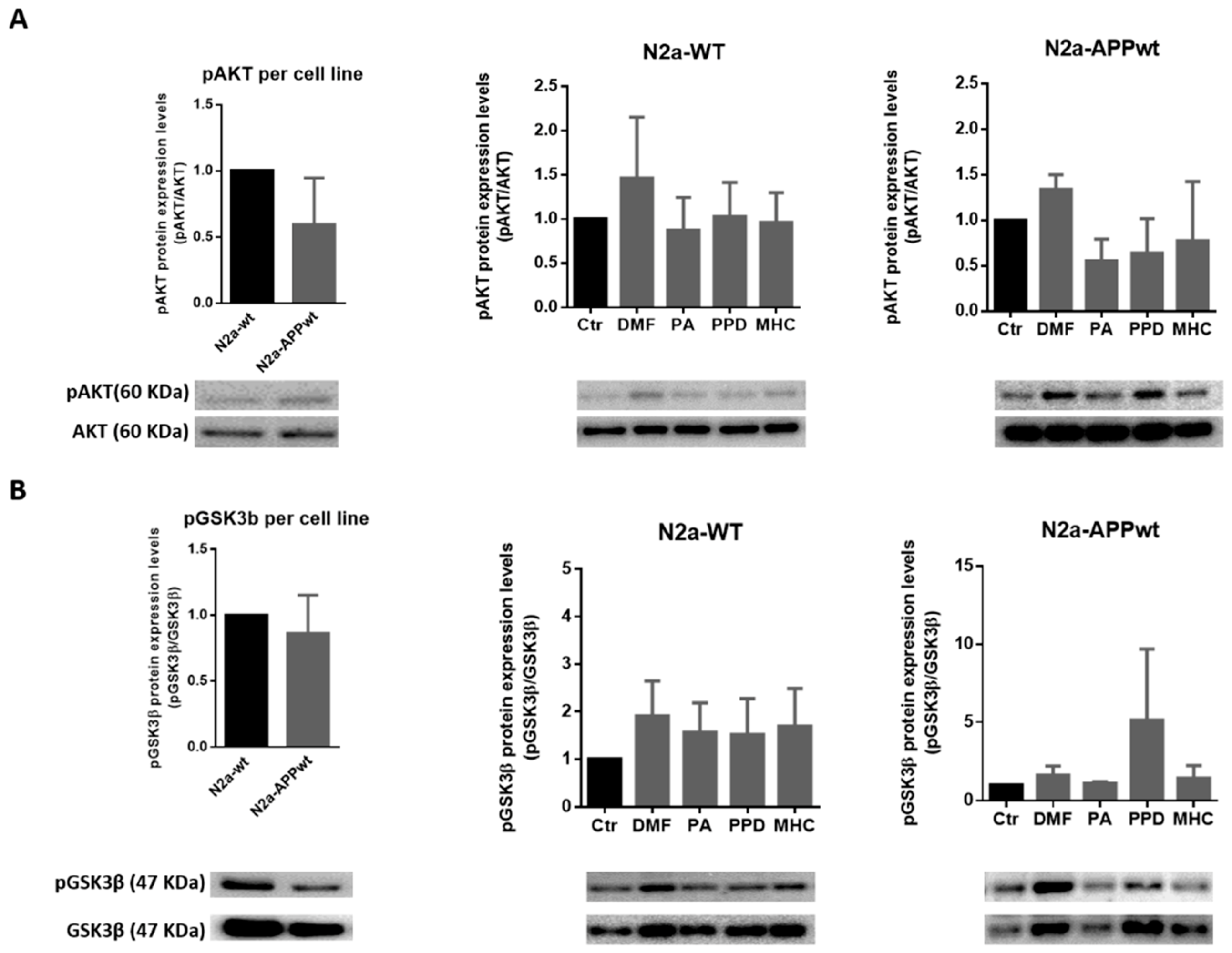 Ijms 21 07791 g007 Ijms 21 07791 g007