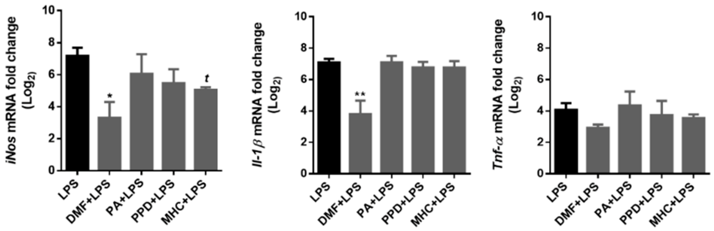 Ijms 21 07791 g009 Ijms 21 07791 g009