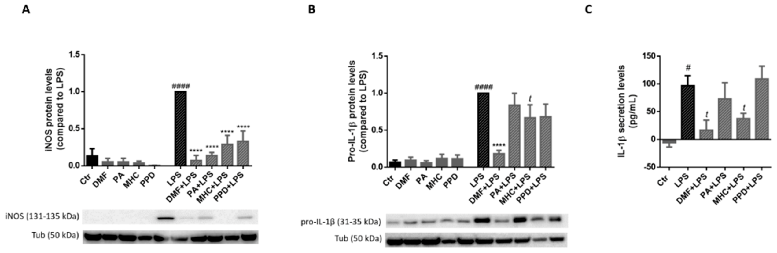 Ijms 21 07791 g010 Ijms 21 07791 g010