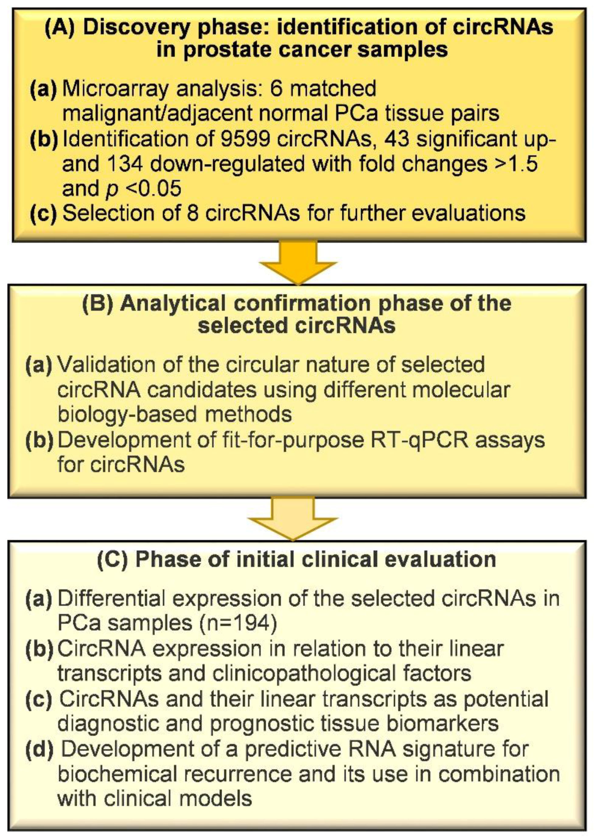Ijms 21 07812 g001 Ijms 21 07812 g001