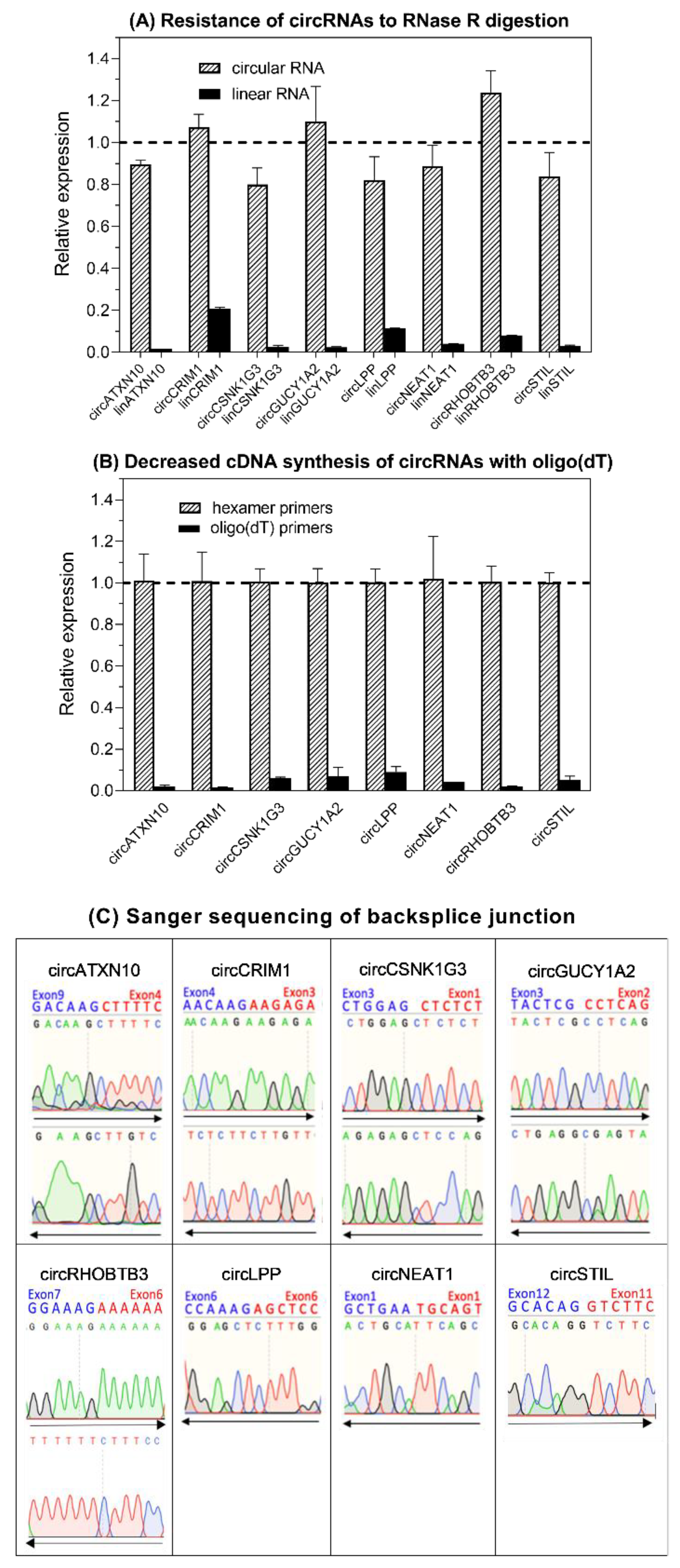 Ijms 21 07812 g003 Ijms 21 07812 g003