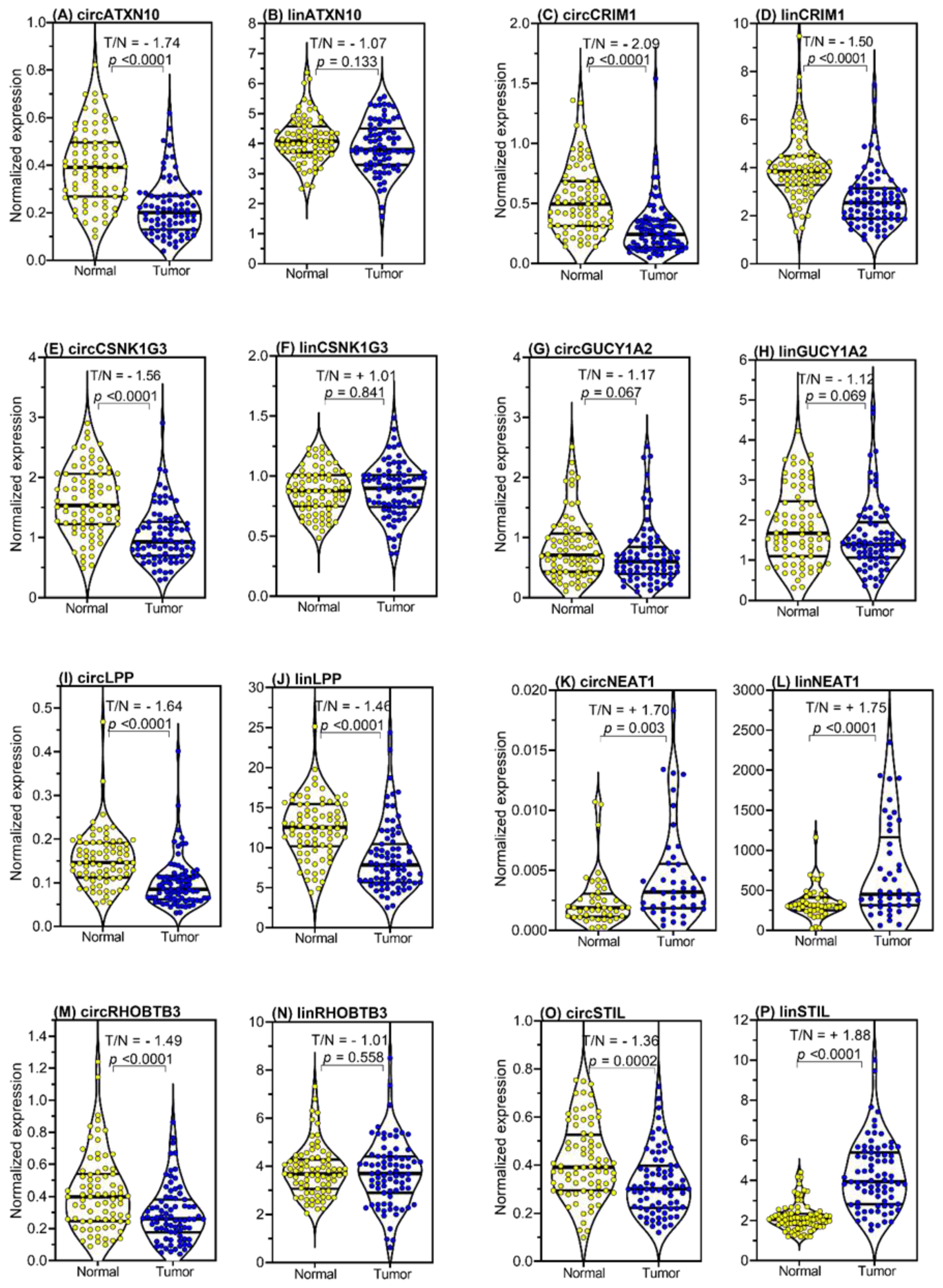 Ijms 21 07812 g004 Ijms 21 07812 g004