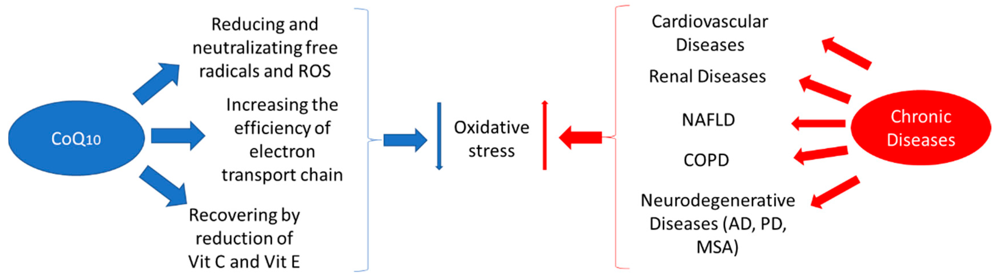 IJMS | Free Full-Text | Coenzyme Q10 Supplementation for the Reduction of  Oxidative Stress: Clinical Implications in the Treatment of Chronic Diseases