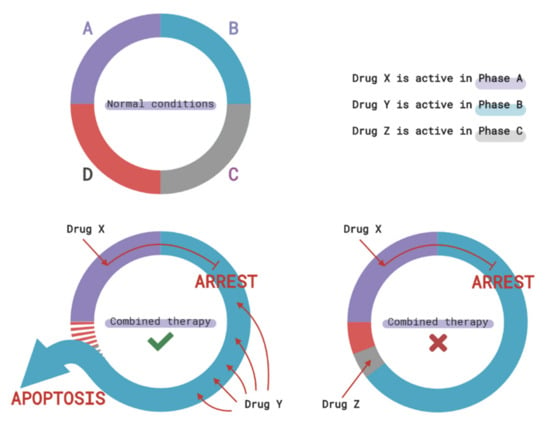 Ijms Free Full Text New Insights Into Therapy Induced Progression Of Cancer Html