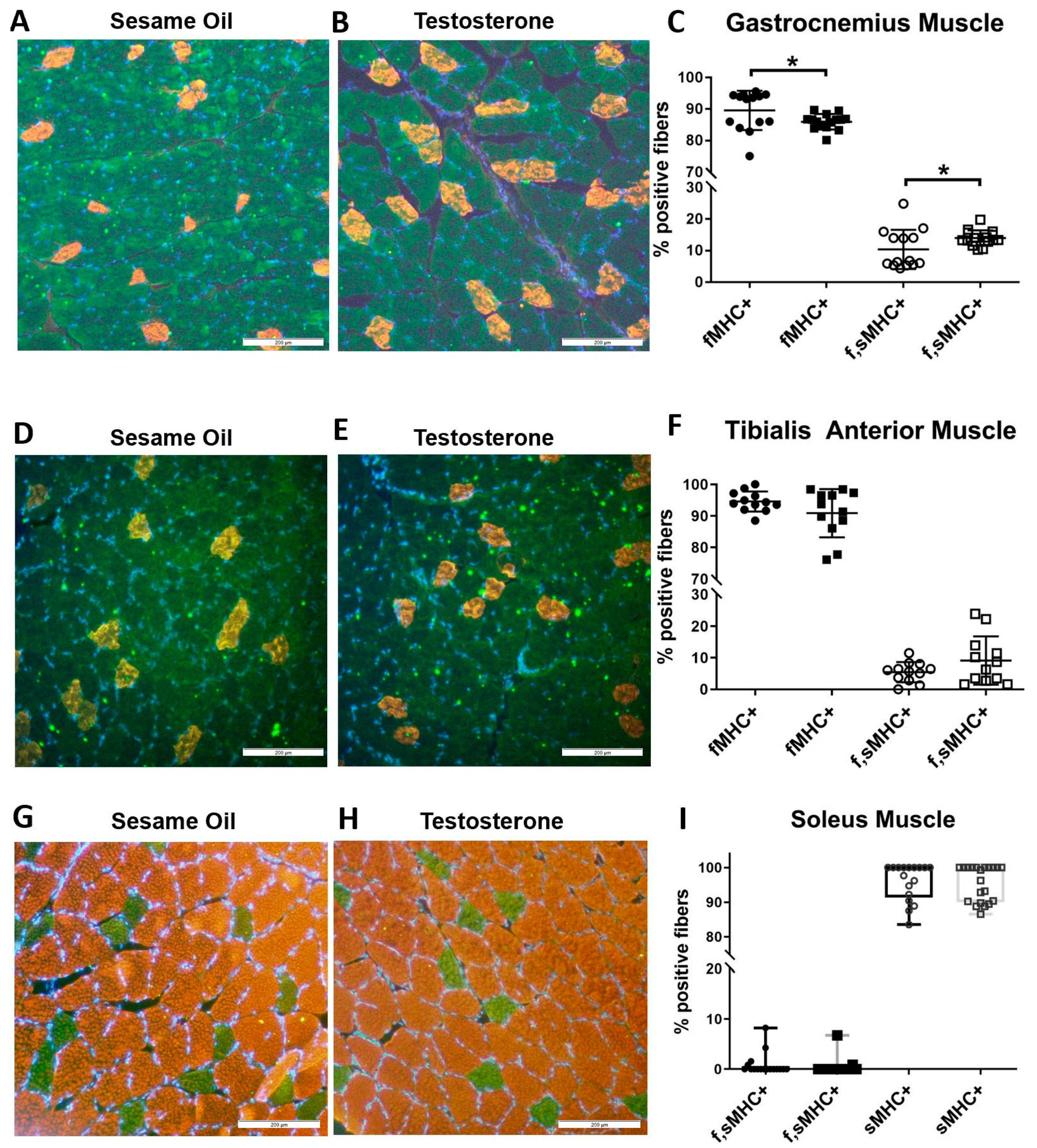 Ijms 21 07918 g005 Ijms 21 07918 g005
