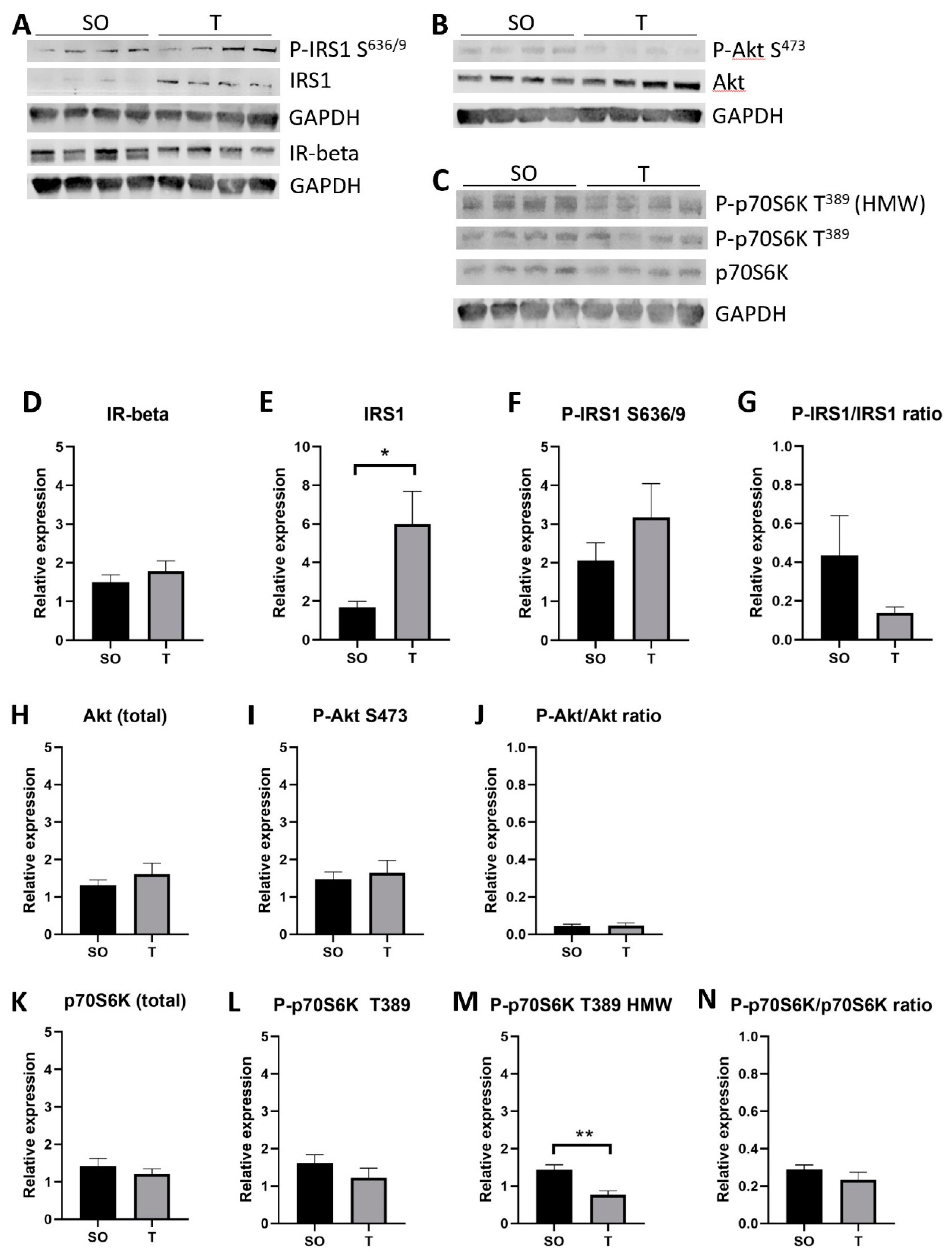 Ijms 21 07918 g009 Ijms 21 07918 g009