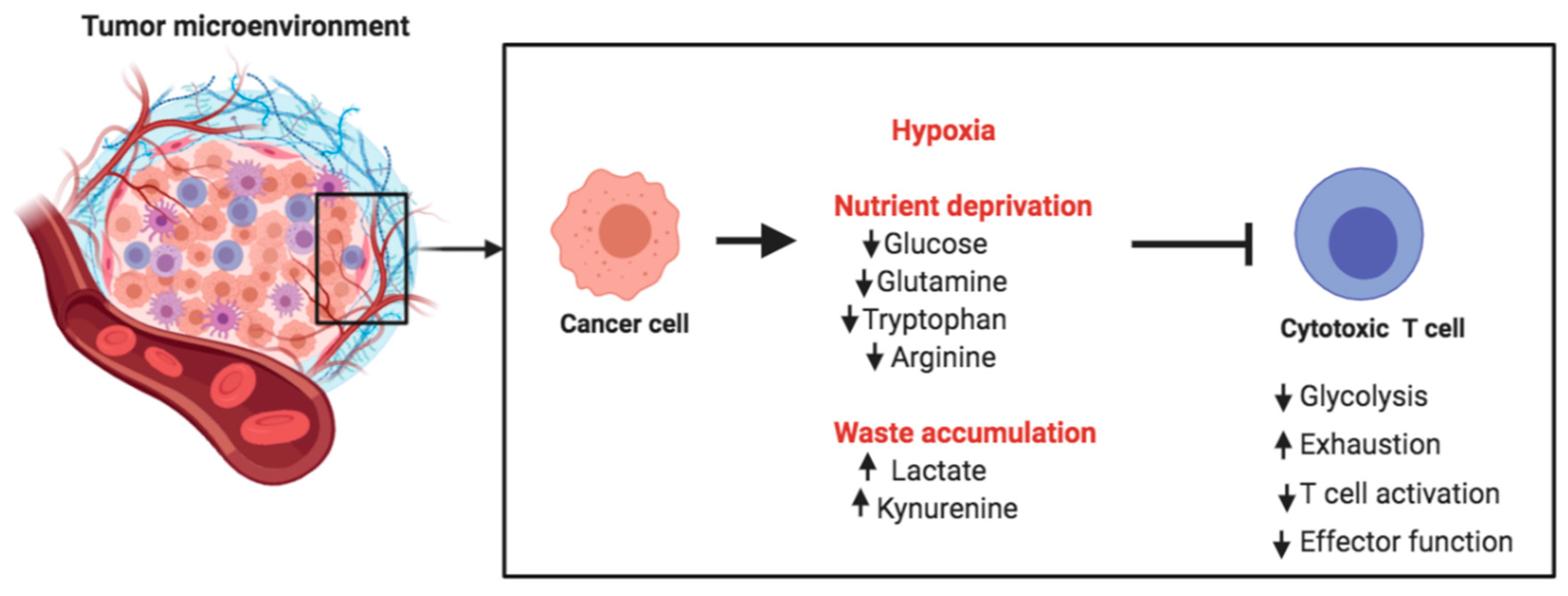 Ijms 21 07972 g004 Ijms 21 07972 g004