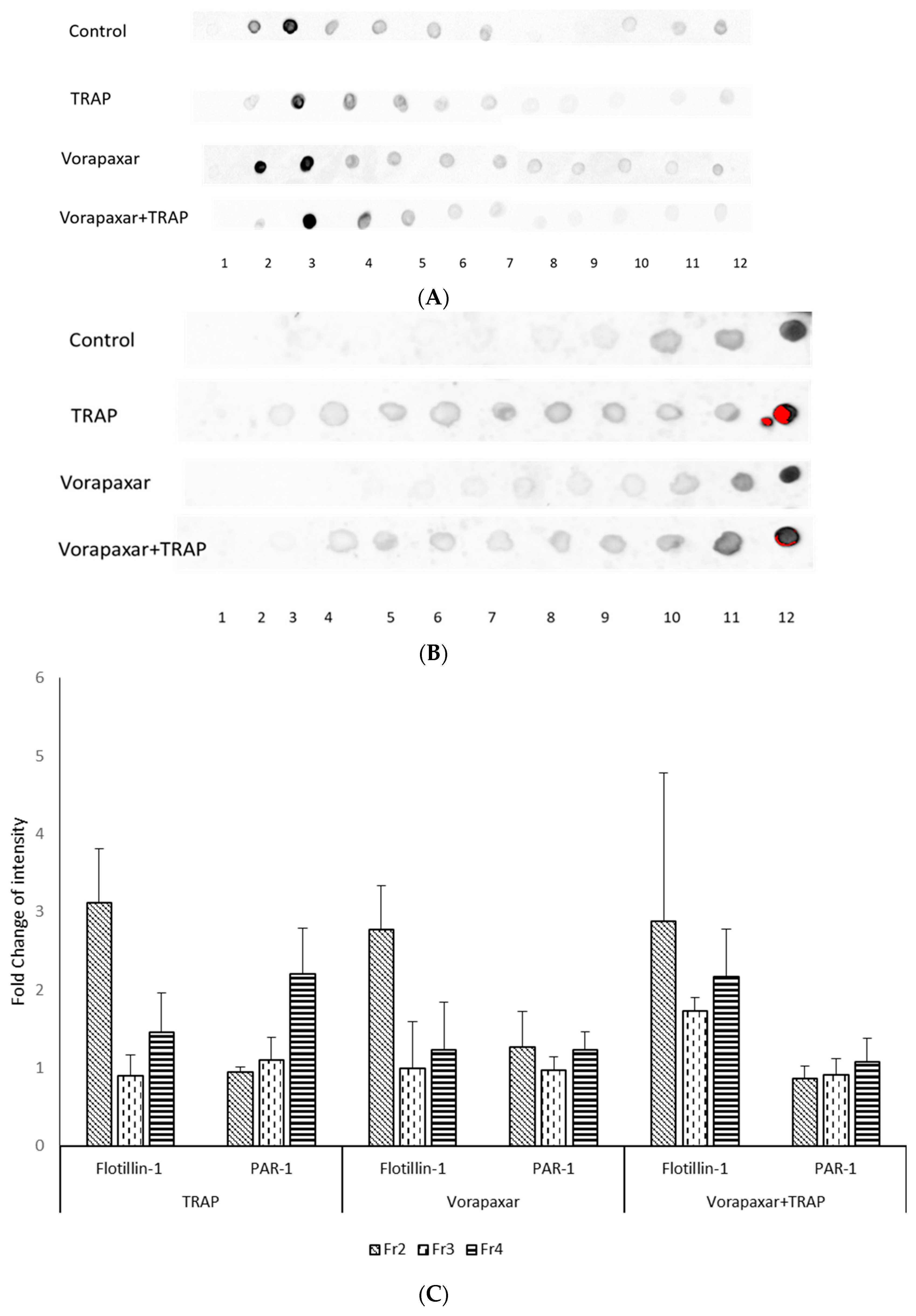 Ijms 21 08065 g003 Ijms 21 08065 g003