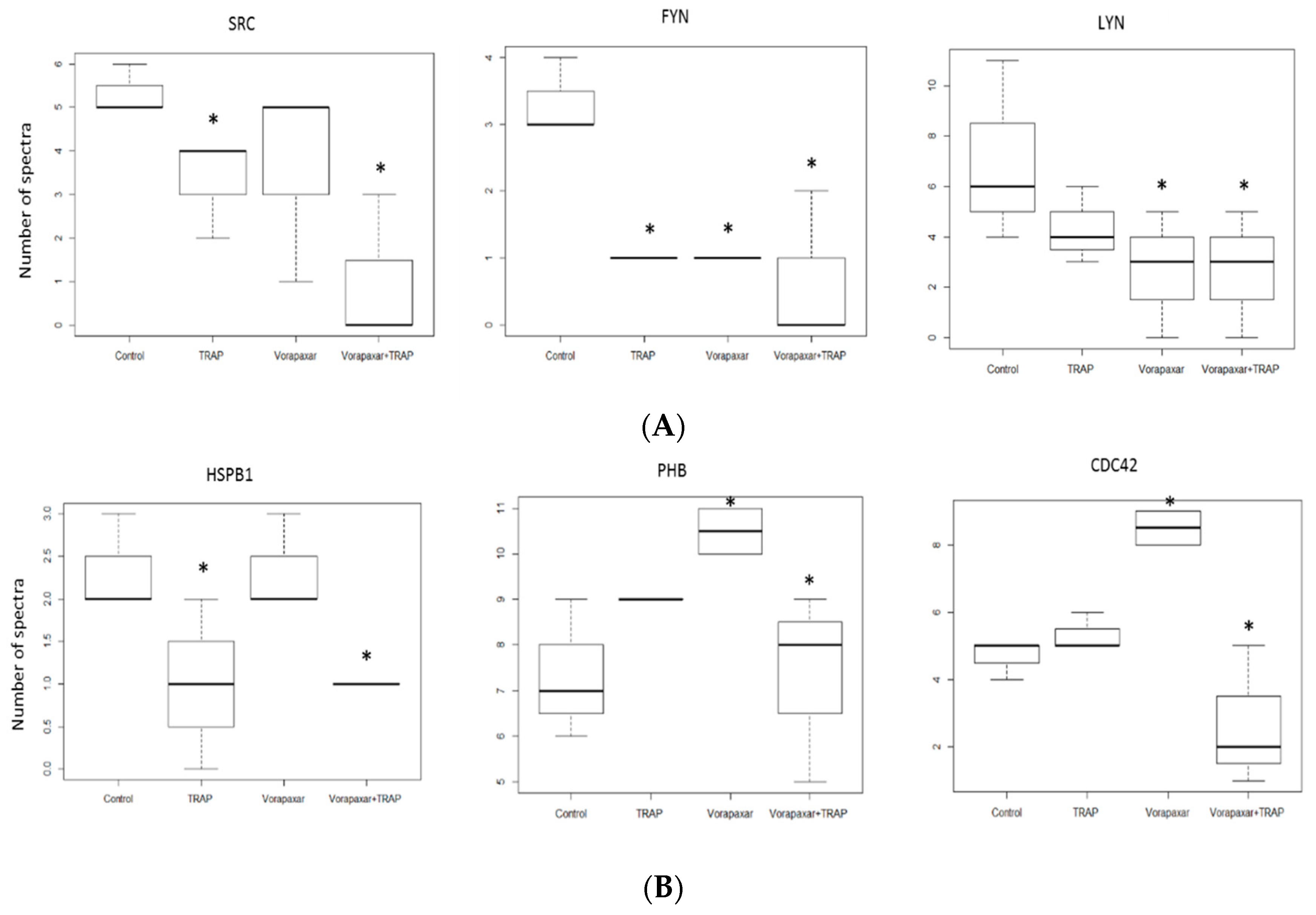 Ijms 21 08065 g005 Ijms 21 08065 g005