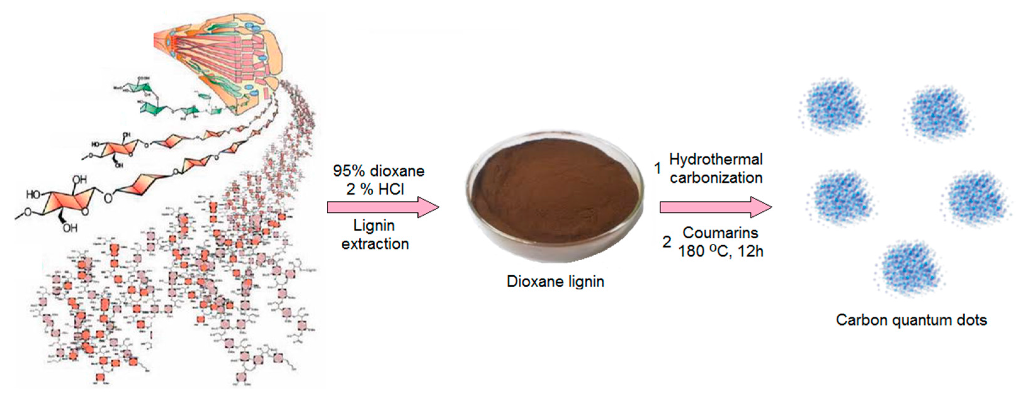 Ijms 21 08073 g001 Ijms 21 08073 g001