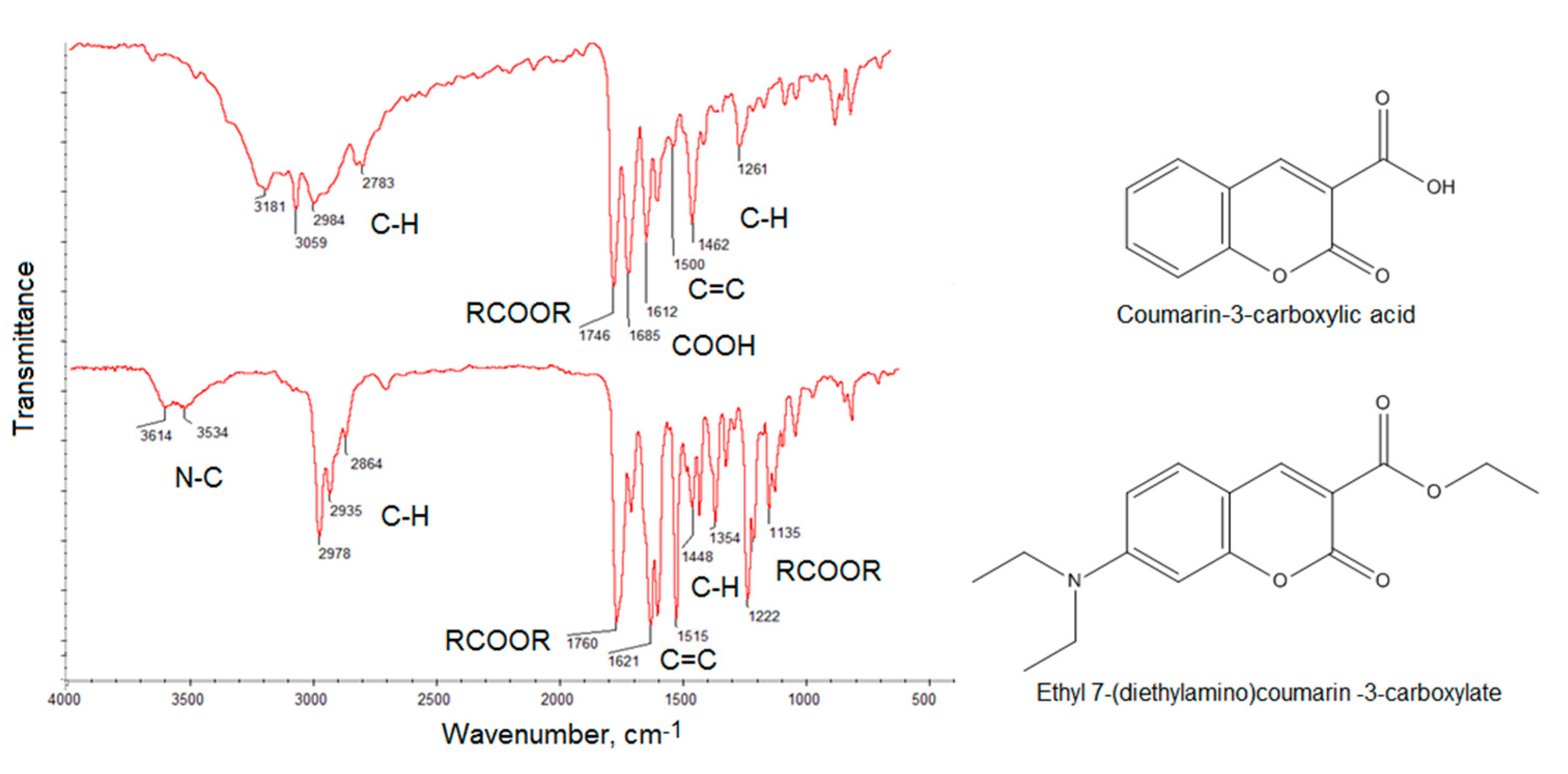 Ijms 21 08073 g004 Ijms 21 08073 g004