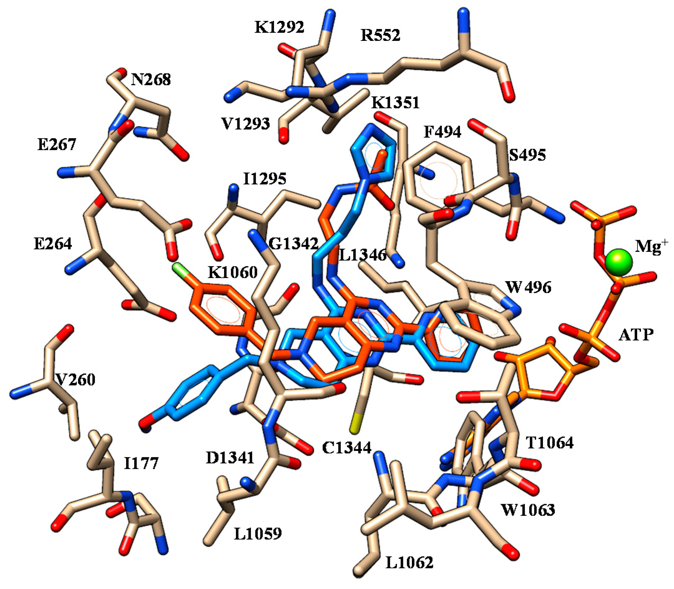 C Atom