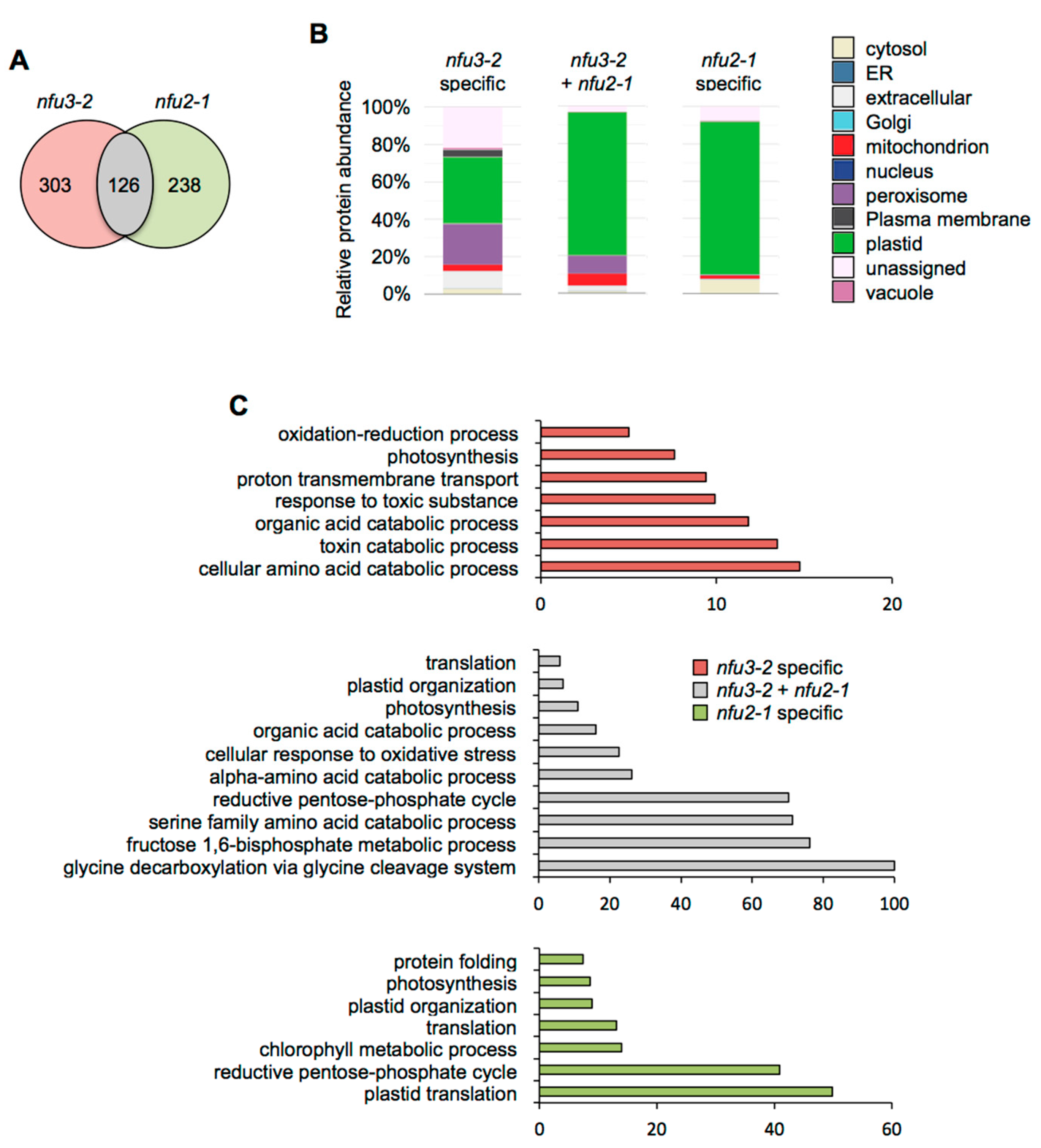 Ijms Free Full Text A Global Proteomic Approach Sheds New Light On Potential Iron Sulfur Client Proteins Of The Chloroplastic Maturation Factor Nfu3