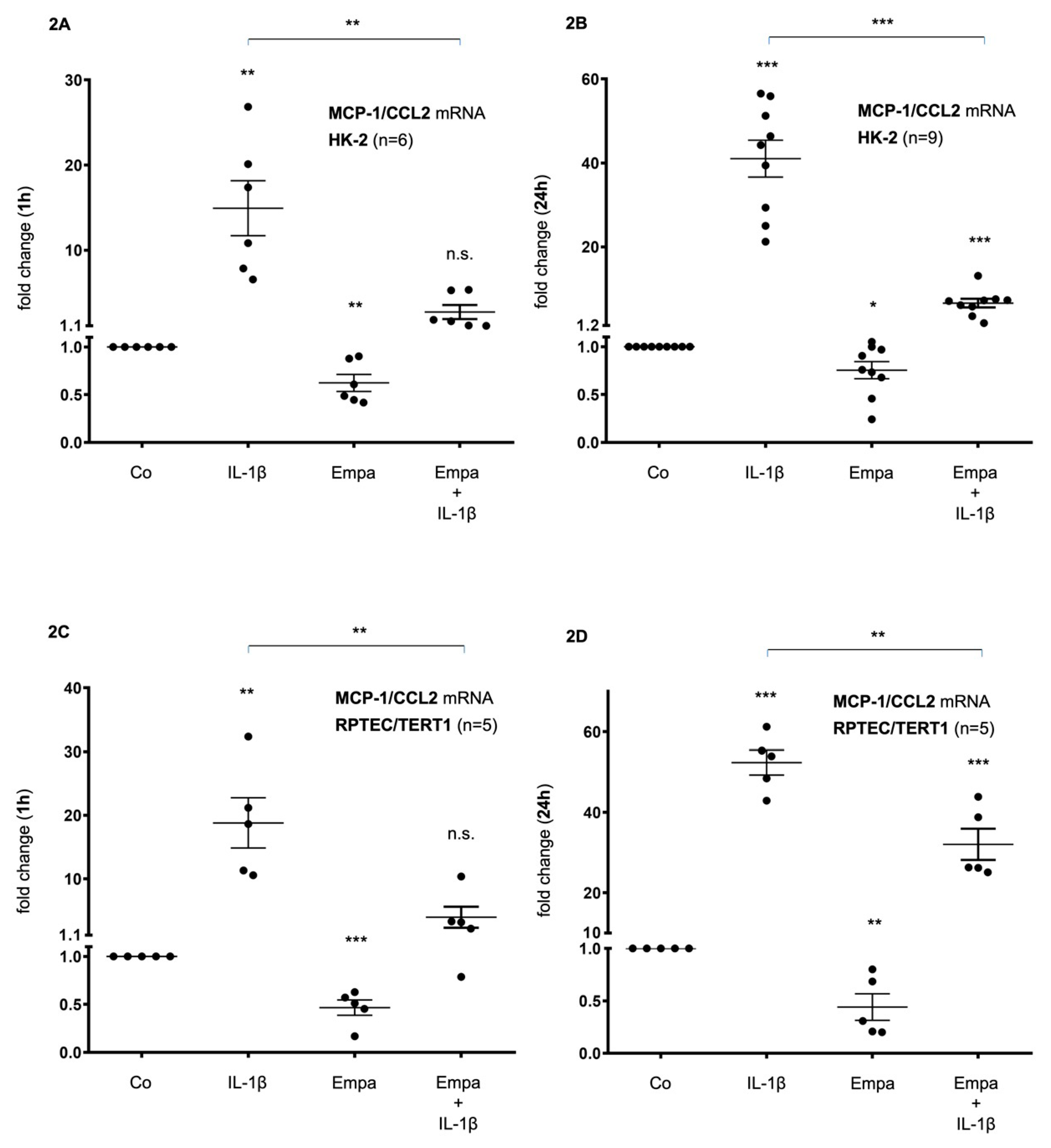 Ijms 21 08189 g002 Ijms 21 08189 g002