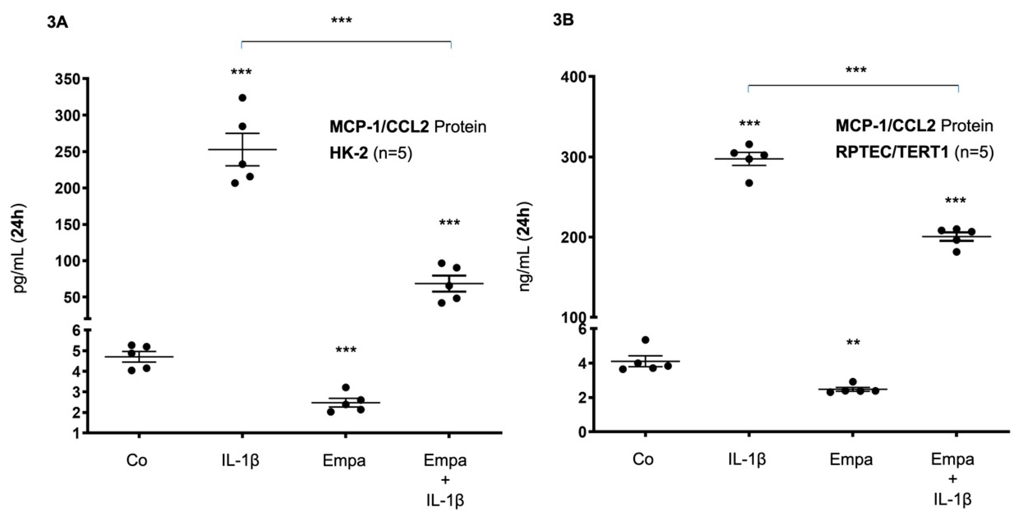 Ijms 21 08189 g003 Ijms 21 08189 g003