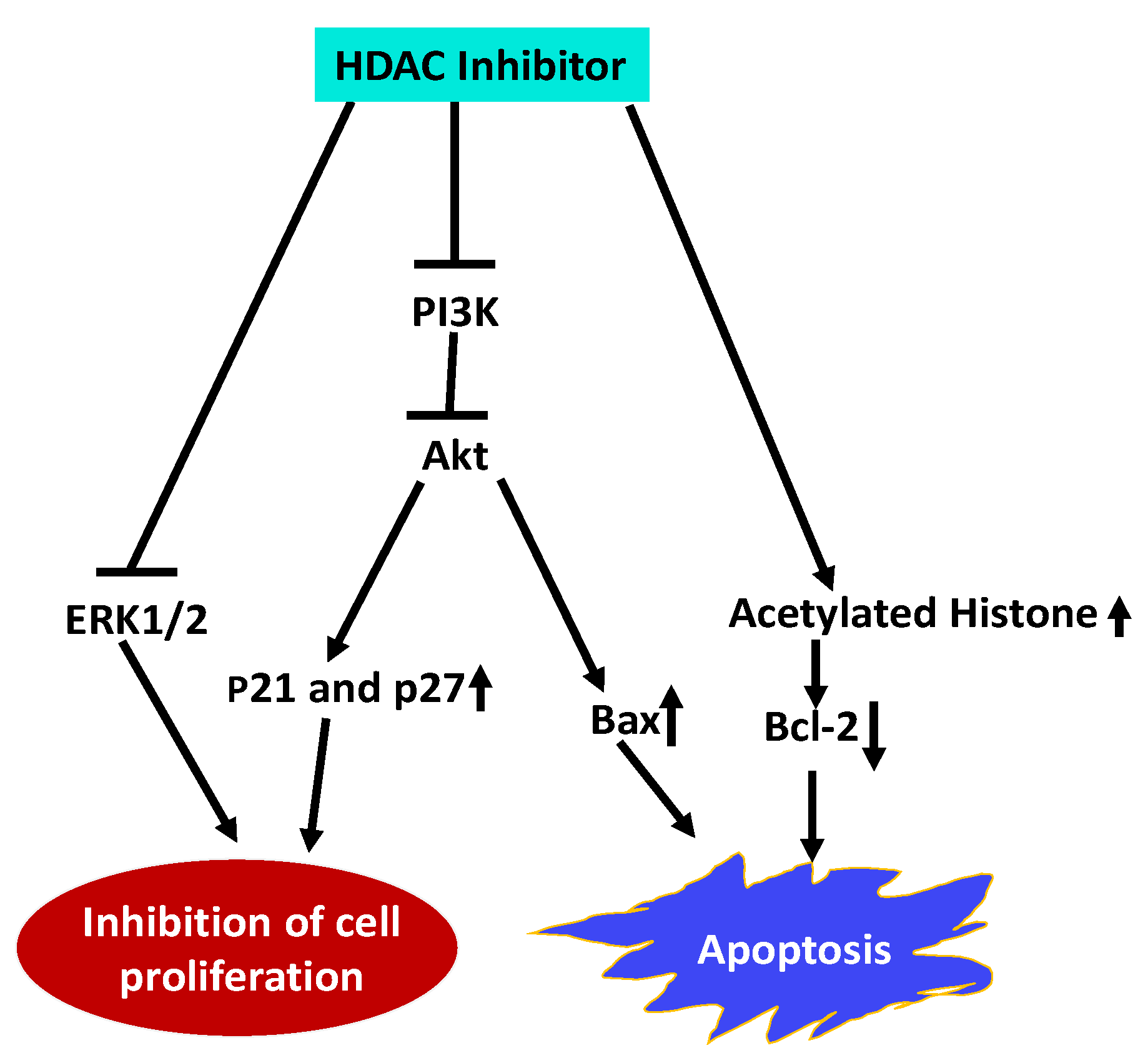 Ijms 21 08198 g002 Ijms 21 08198 g002