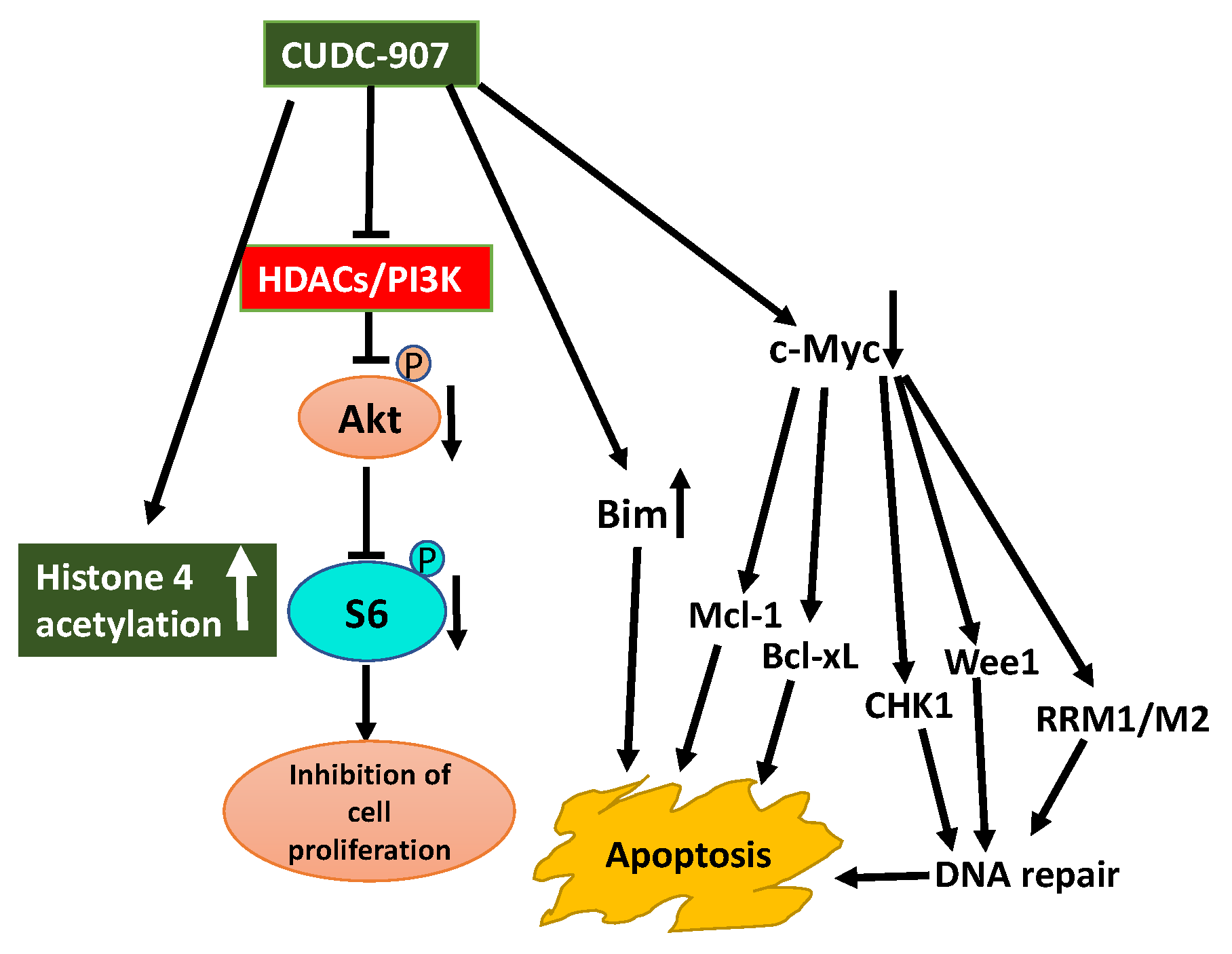 Ijms 21 08198 g005 Ijms 21 08198 g005