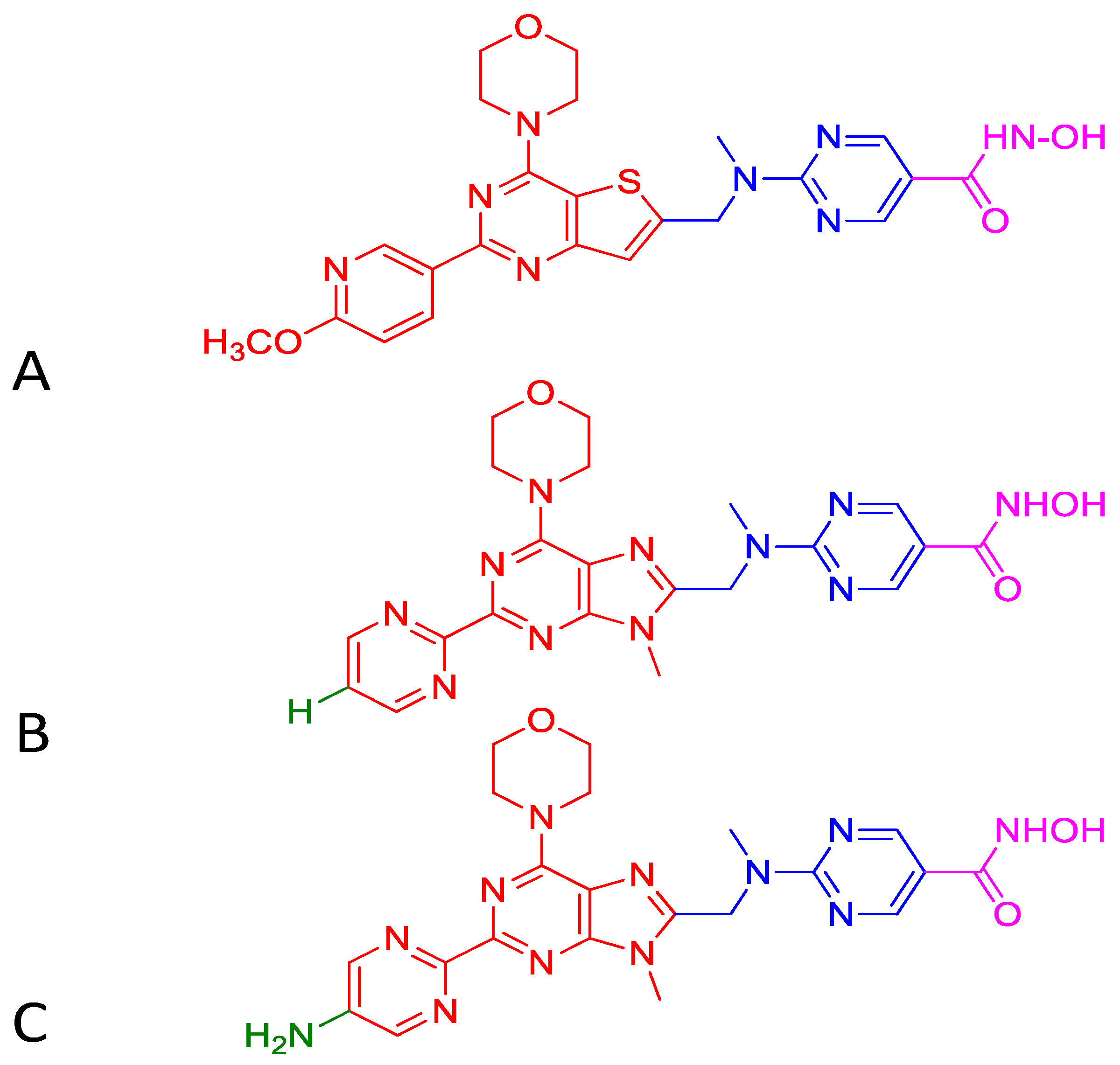 Ijms 21 08198 g006 Ijms 21 08198 g006