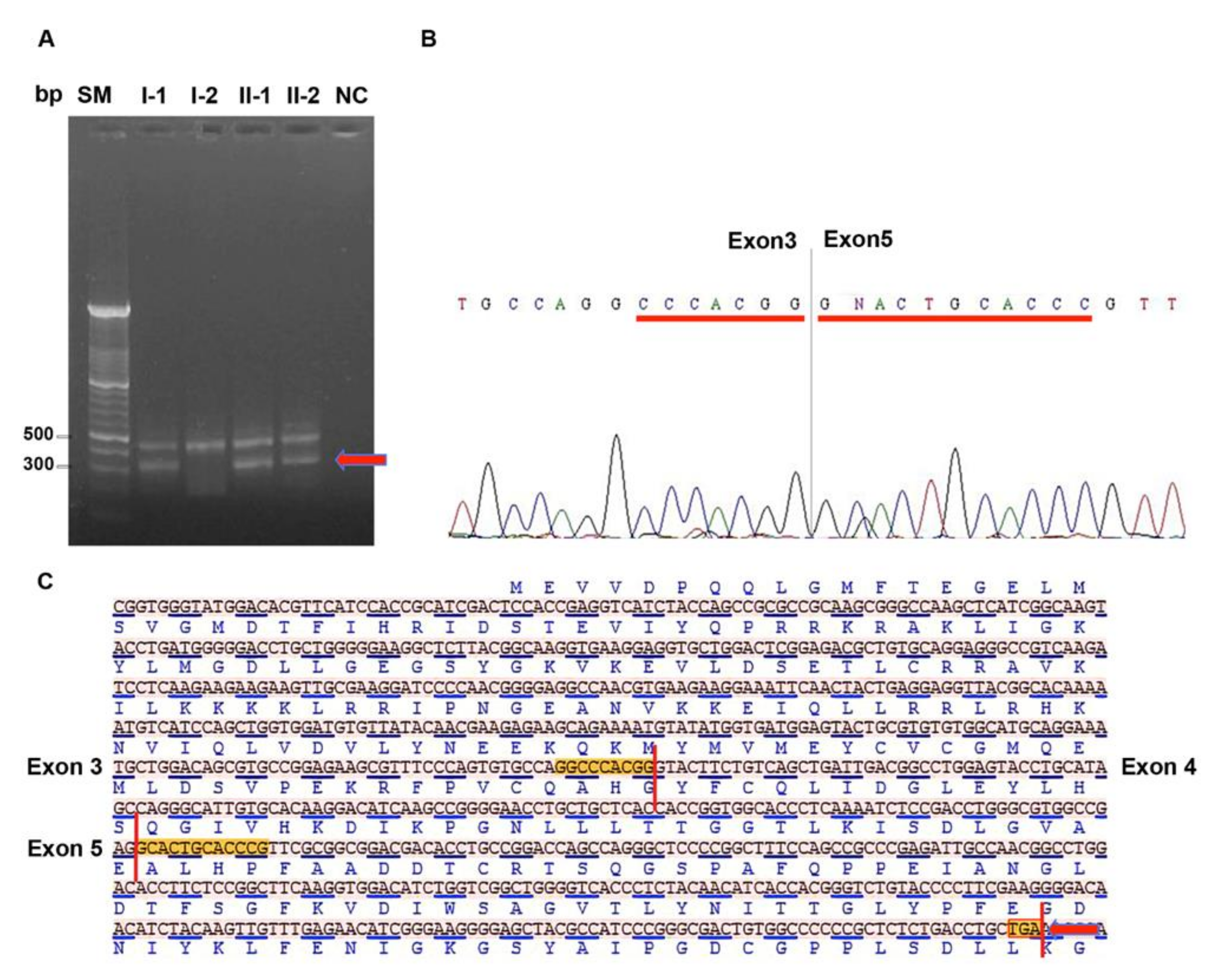 Ijms 21 08201 g003 Ijms 21 08201 g003