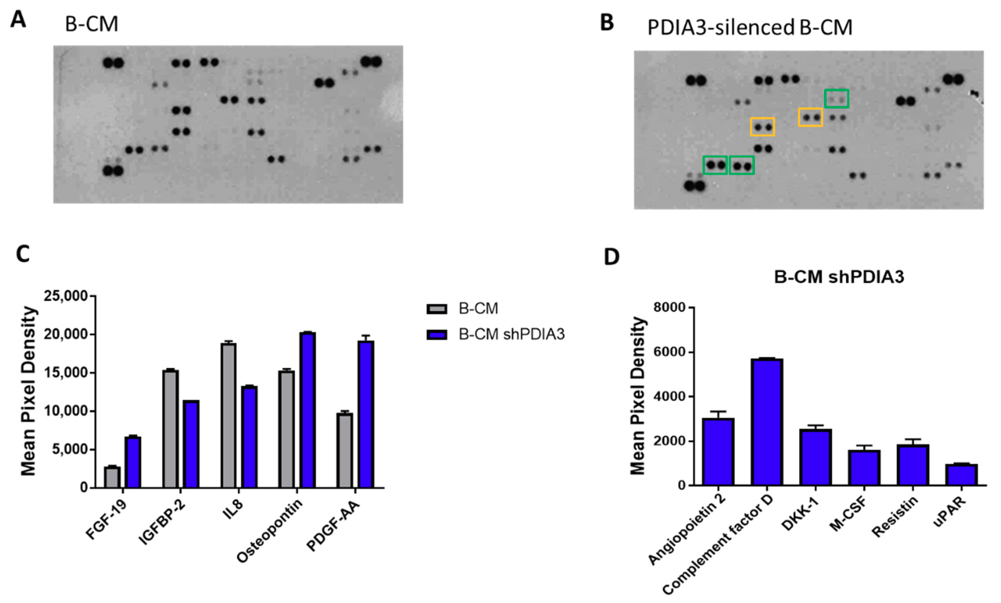 Ijms 21 08214 g004 Ijms 21 08214 g004