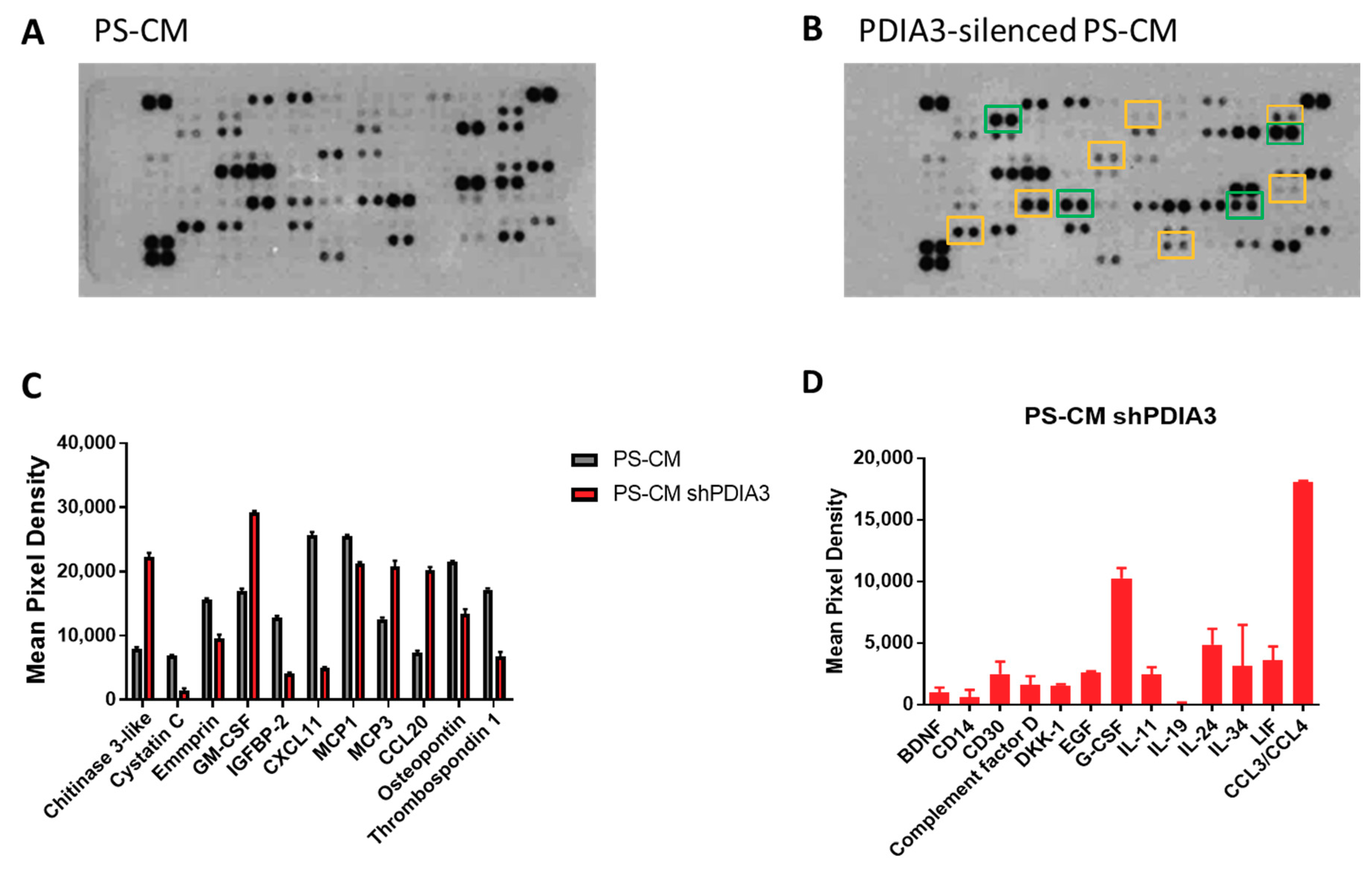 Ijms 21 08214 g006 Ijms 21 08214 g006