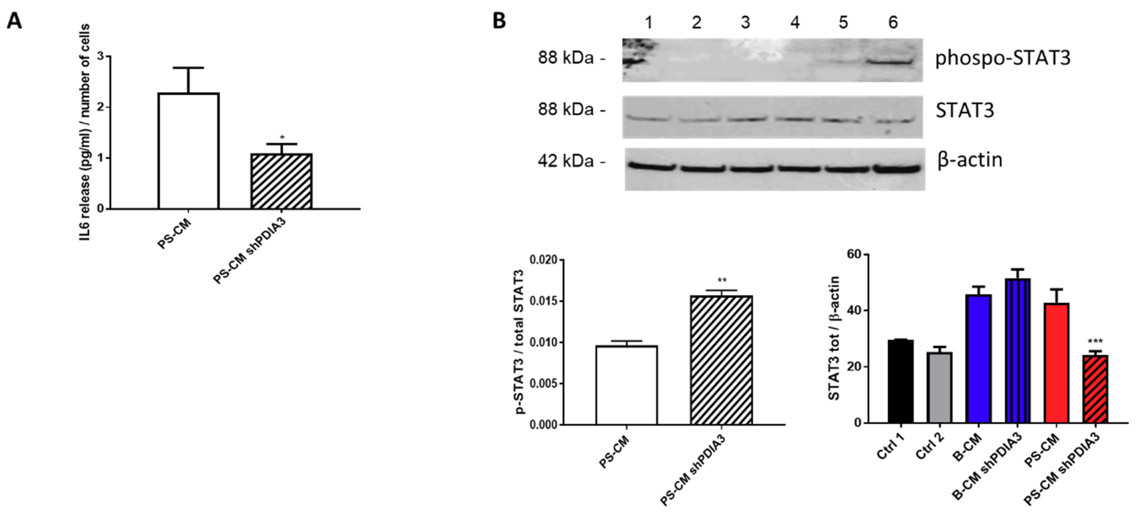 Ijms 21 08214 g010 Ijms 21 08214 g010