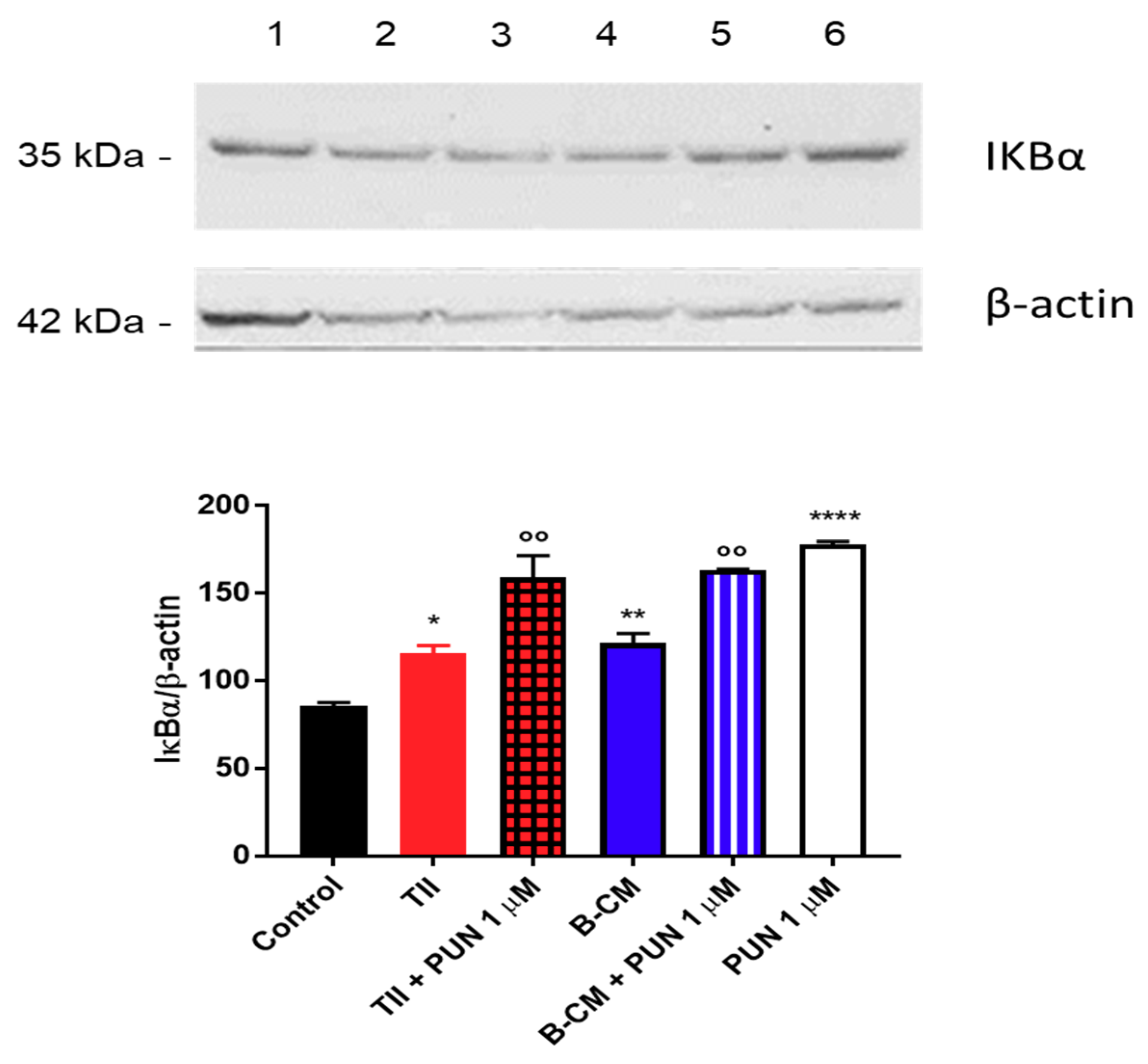 Ijms 21 08214 g012 Ijms 21 08214 g012