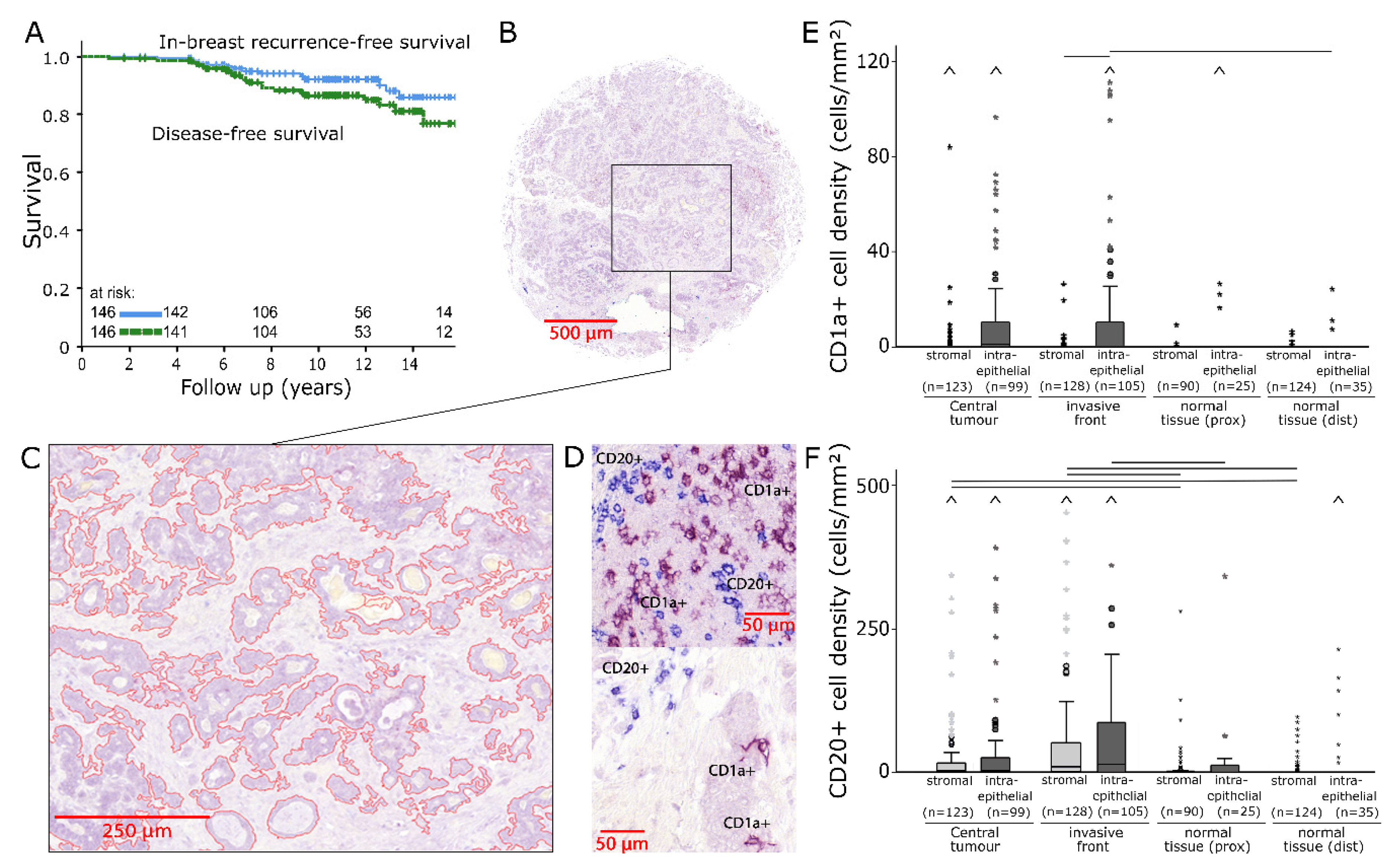 Ijms 21 08238 g001 Ijms 21 08238 g001