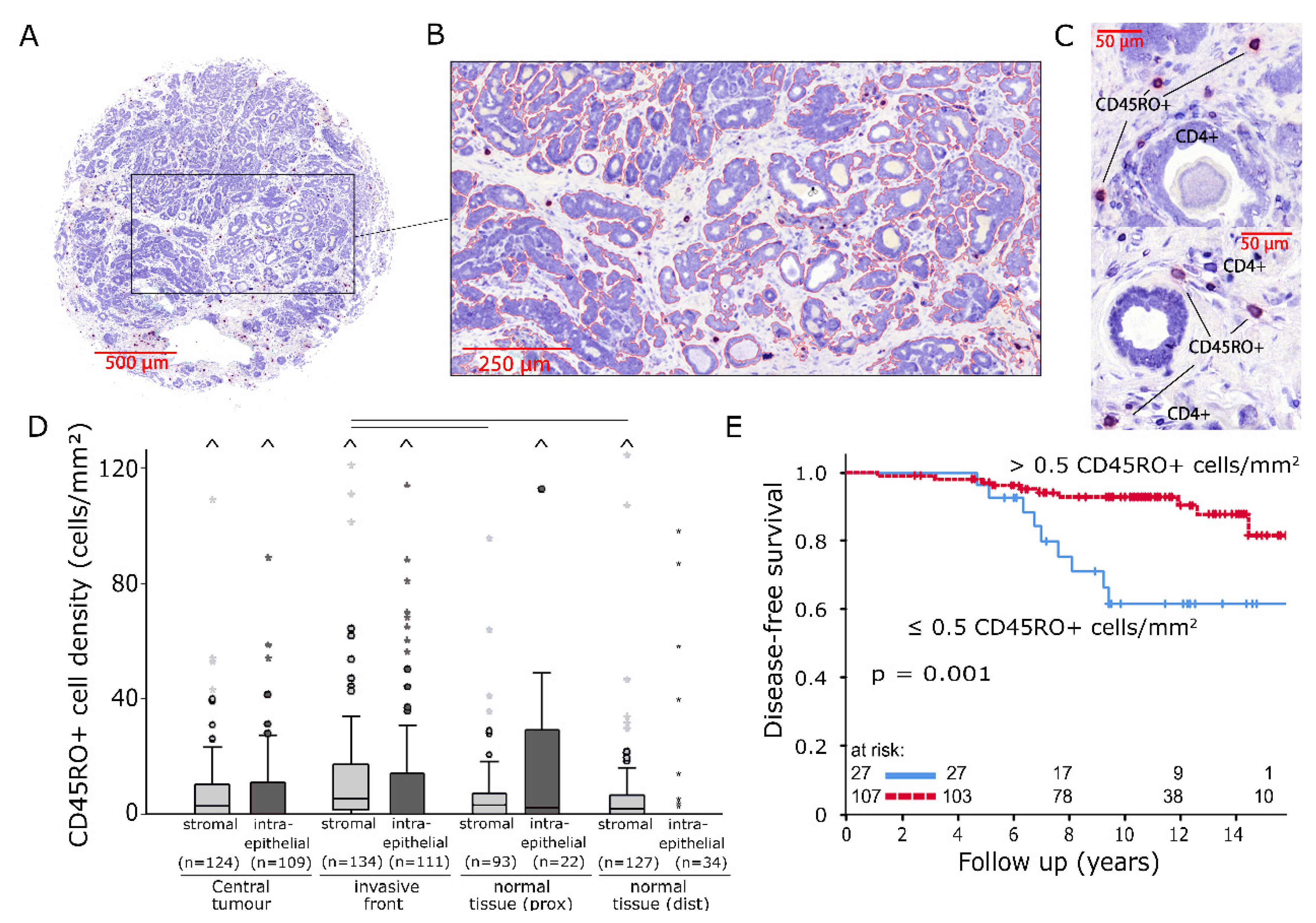 Ijms 21 08238 g003 Ijms 21 08238 g003