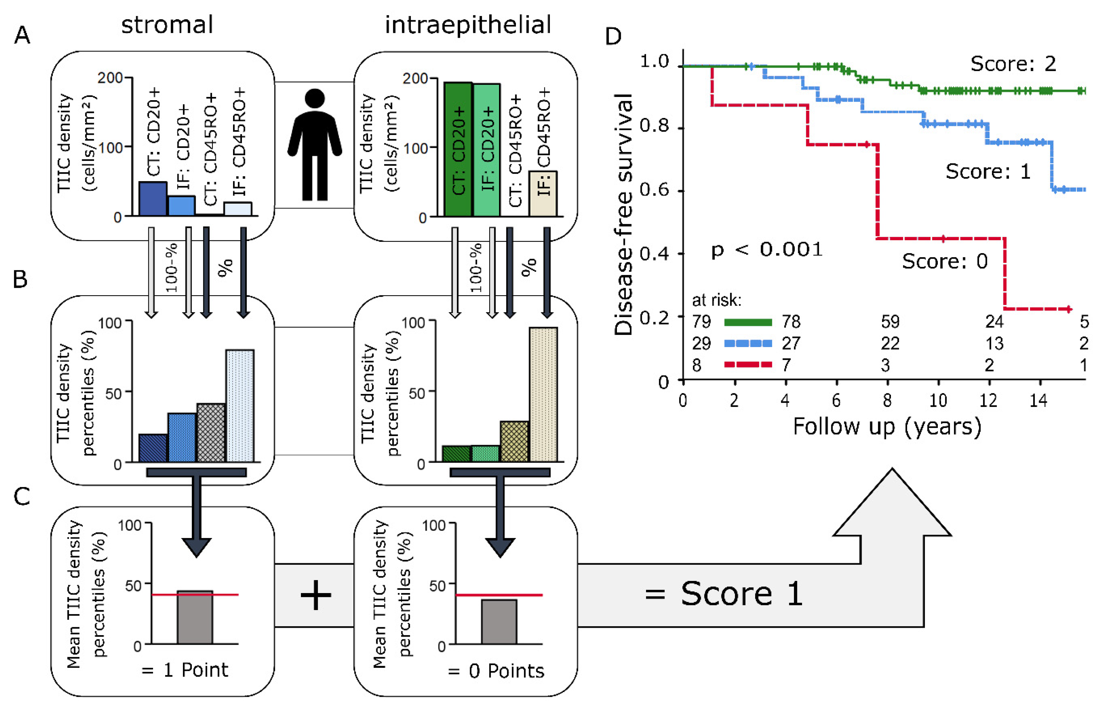 Ijms 21 08238 g005 Ijms 21 08238 g005