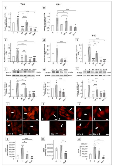 Ijms Free Full Text Crosstalk Between Androgen Zip9 Signaling And Notch Pathway In Rodent Sertoli Cells Html