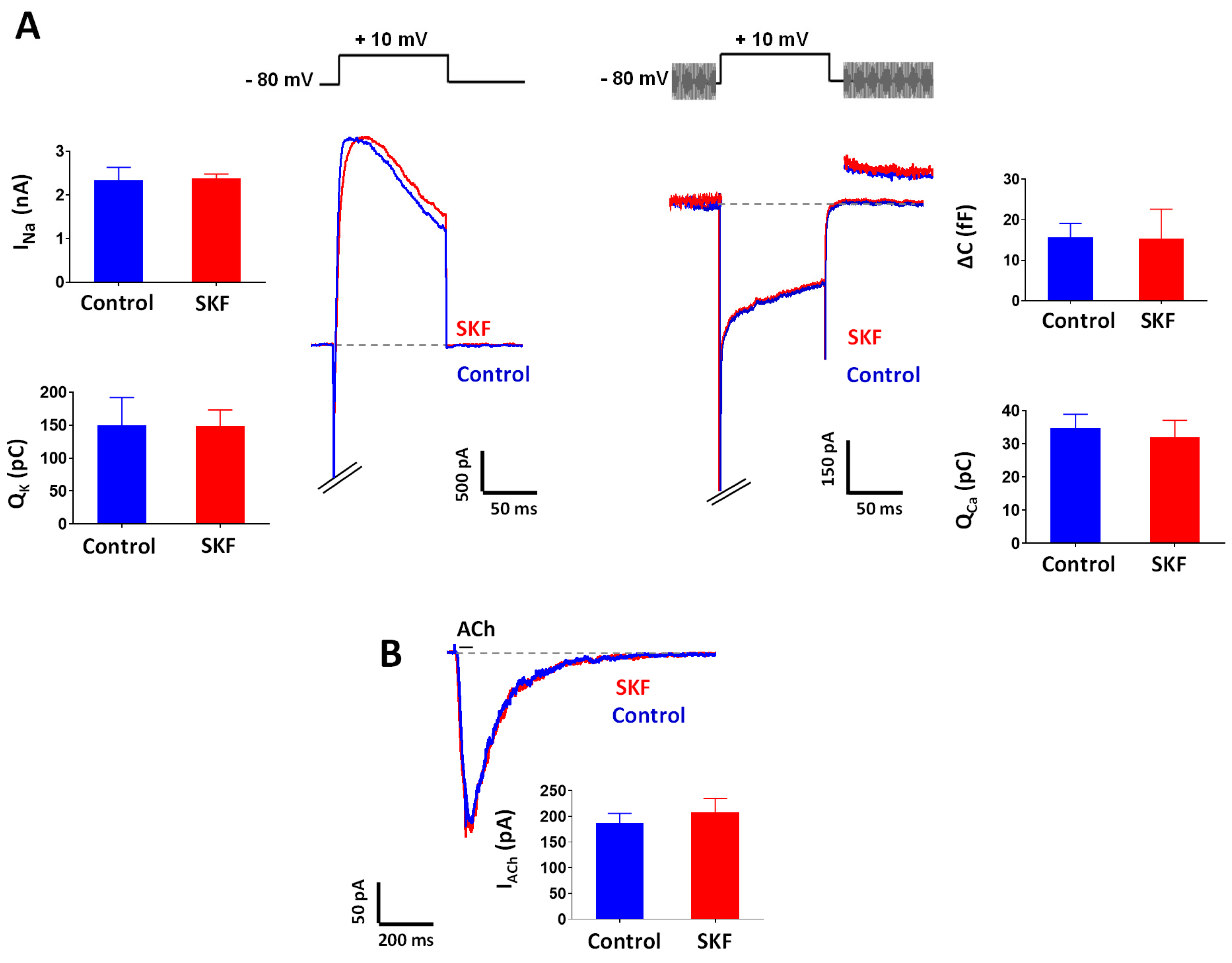 Ijms 21 08325 g005 Ijms 21 08325 g005