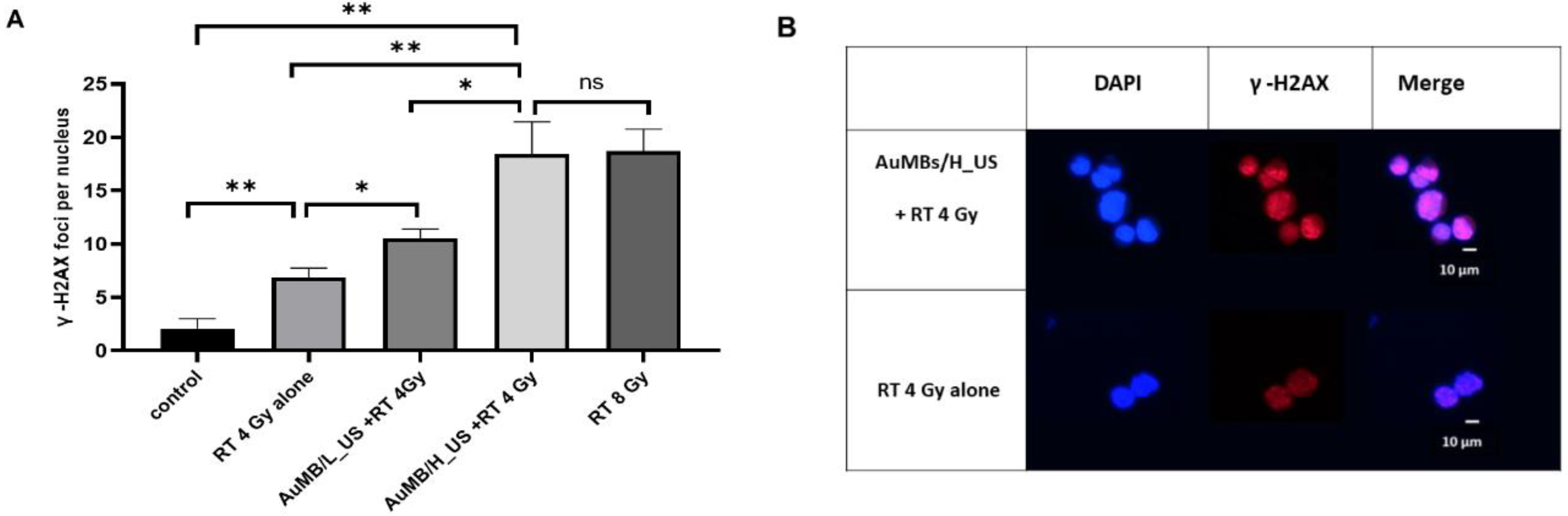 Ijms 21 08370 g006 Ijms 21 08370 g006