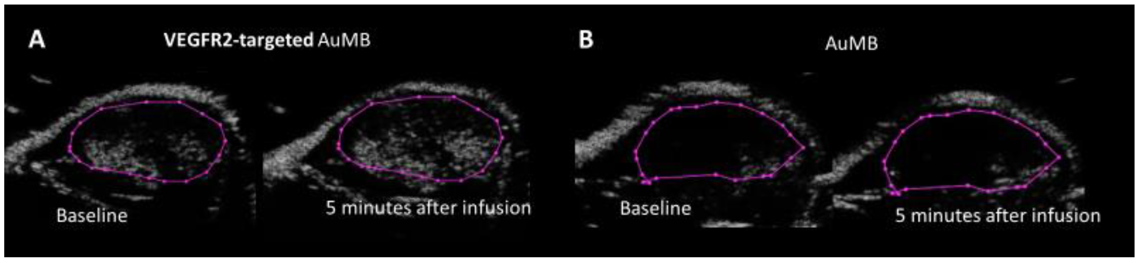 Ijms 21 08370 g008 Ijms 21 08370 g008