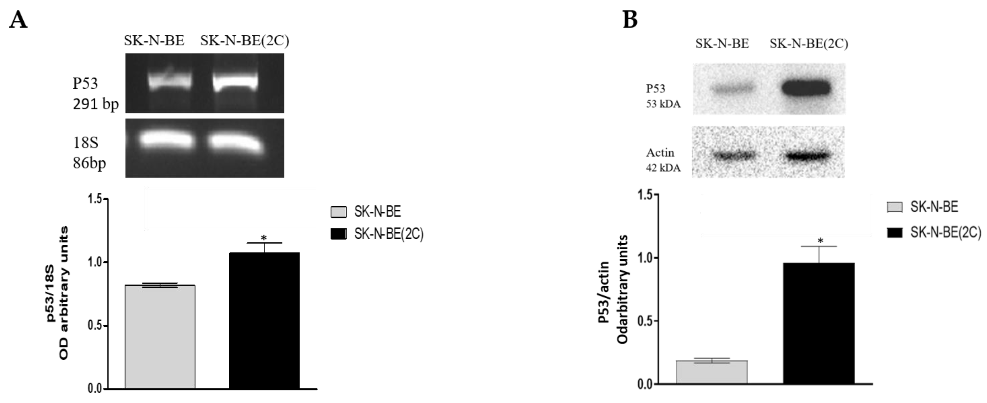 Ijms 21 08433 g004 Ijms 21 08433 g004