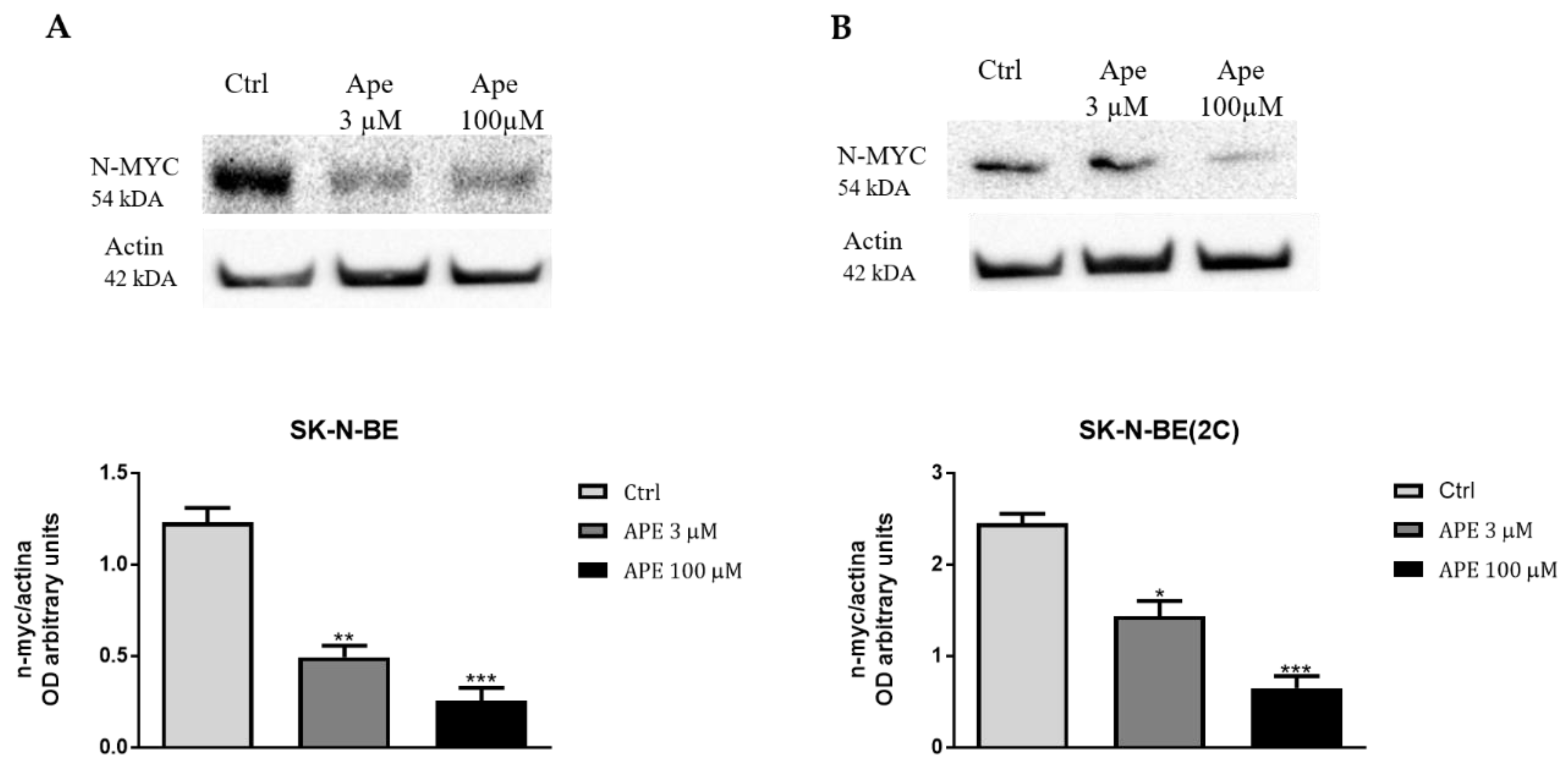Ijms 21 08433 g009 Ijms 21 08433 g009