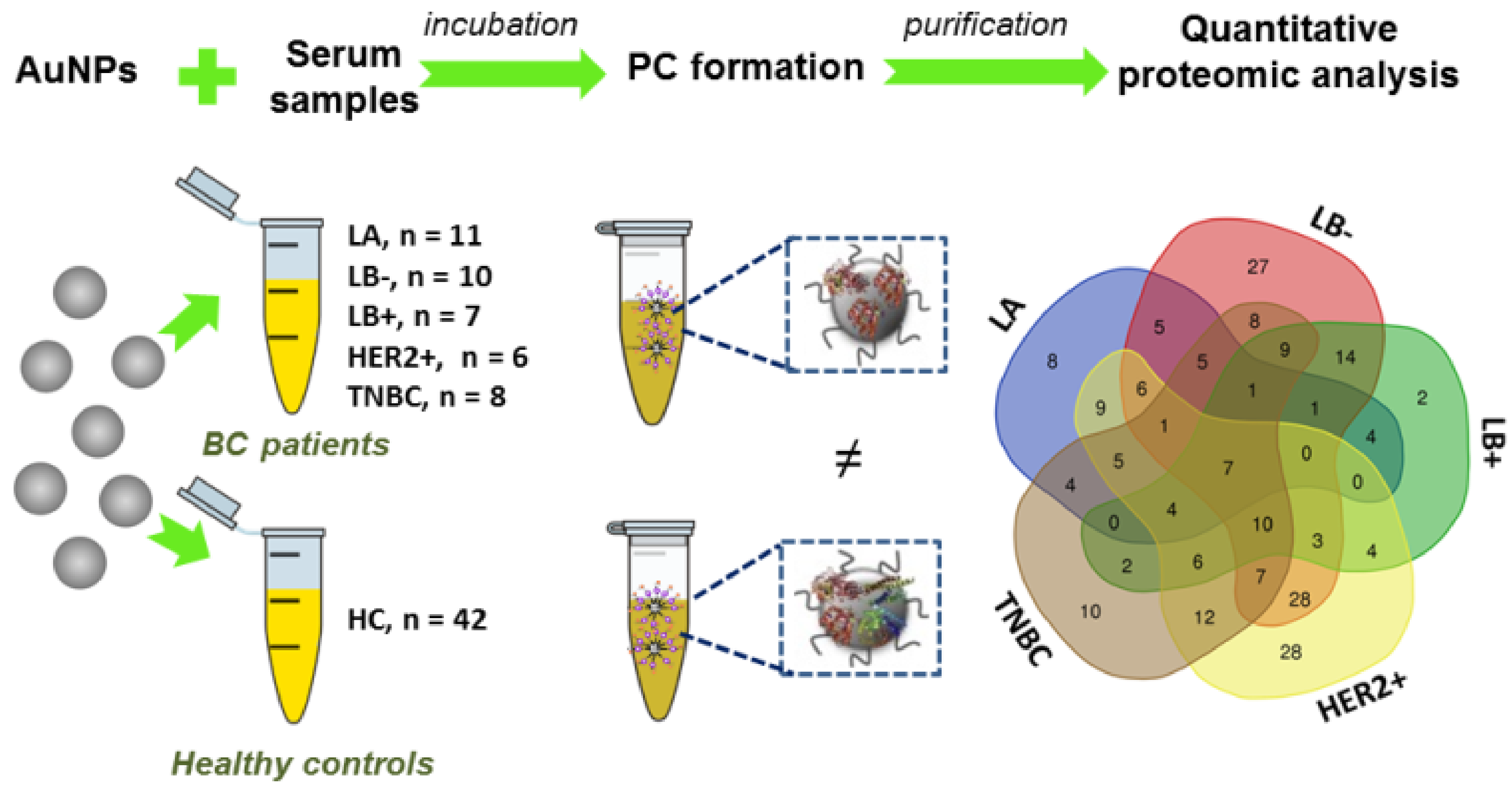 Ijms 21 08449 g001 Ijms 21 08449 g001