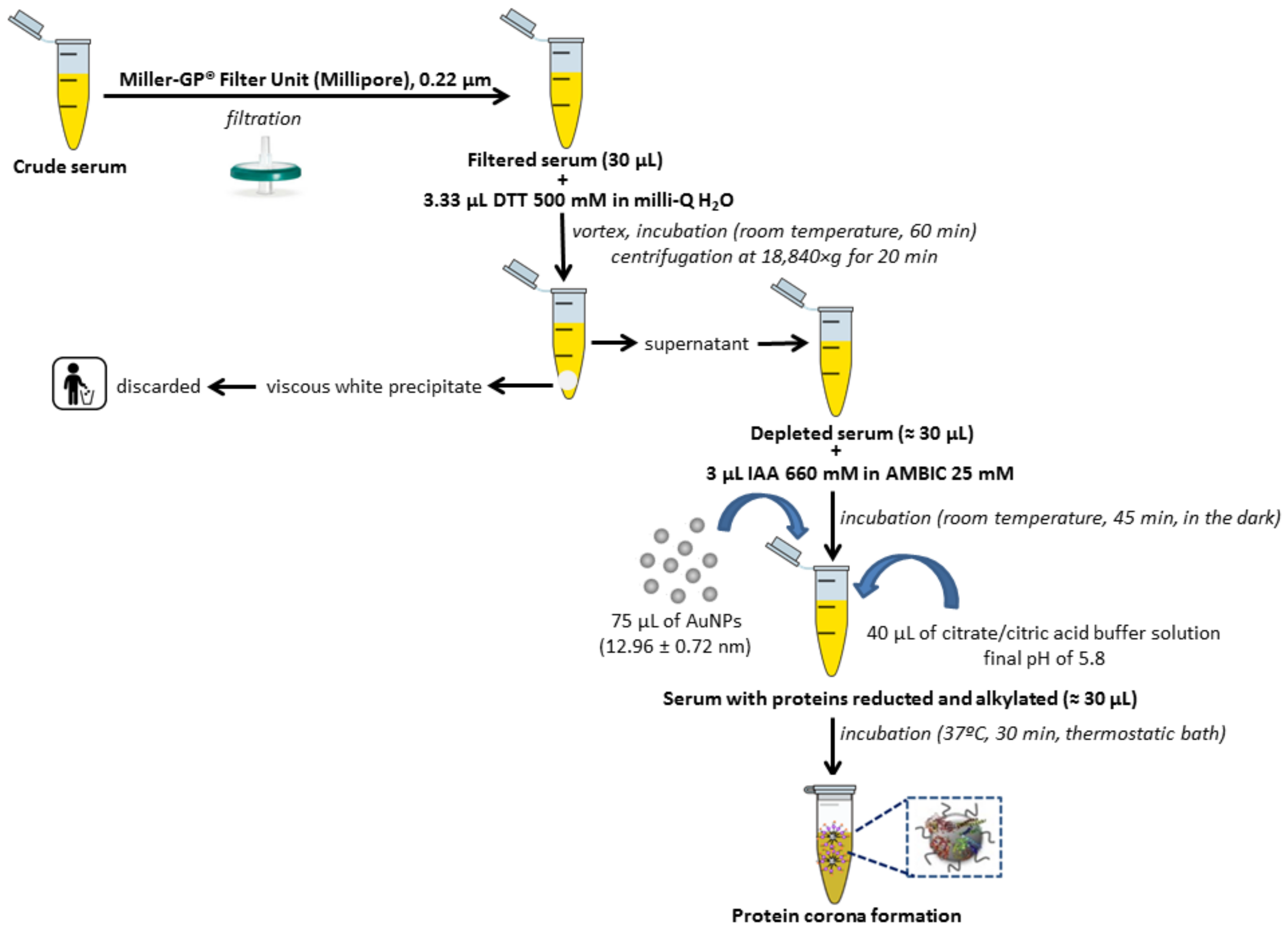 Ijms 21 08449 g002 Ijms 21 08449 g002