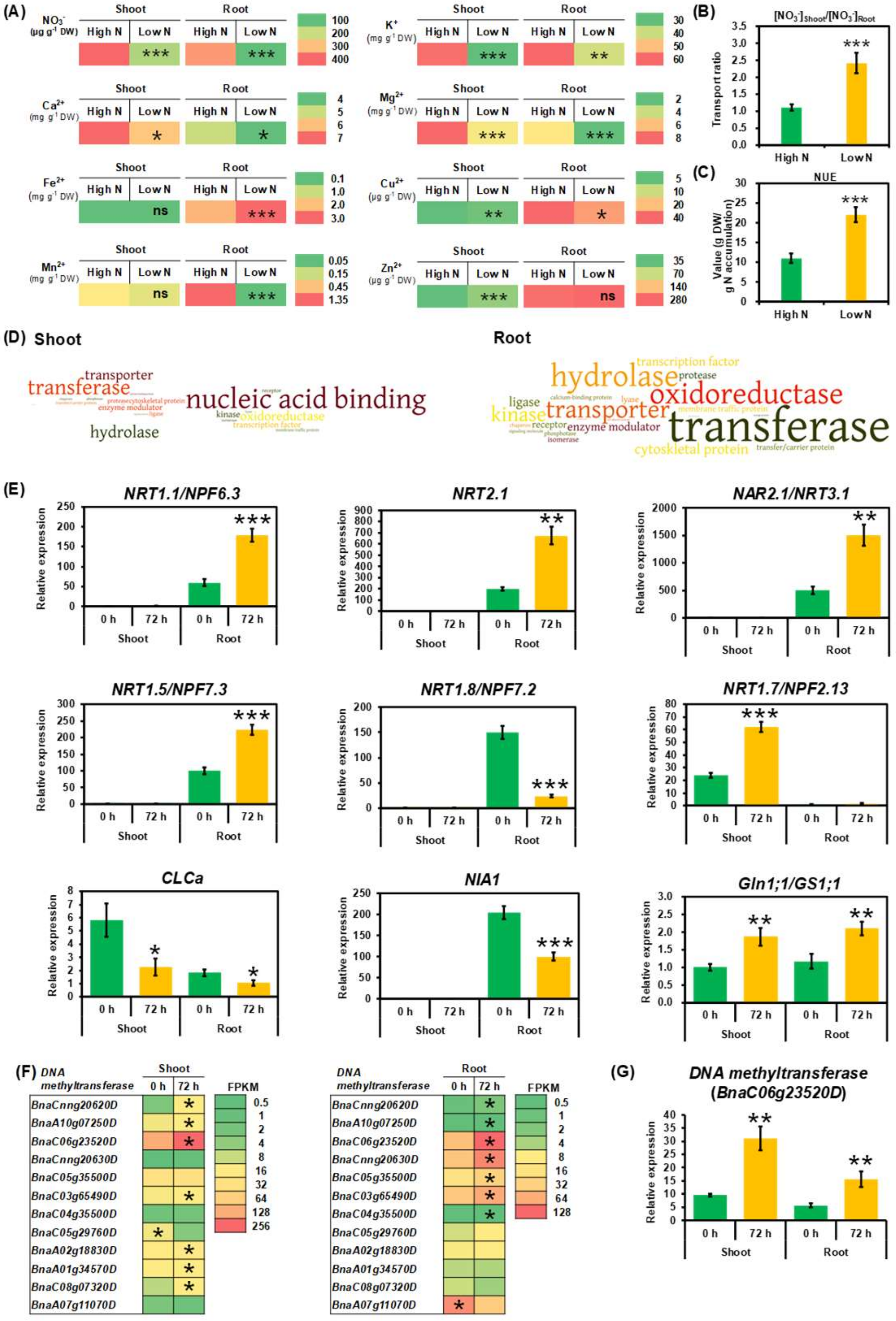 Ijms 21 08453 g002 Ijms 21 08453 g002