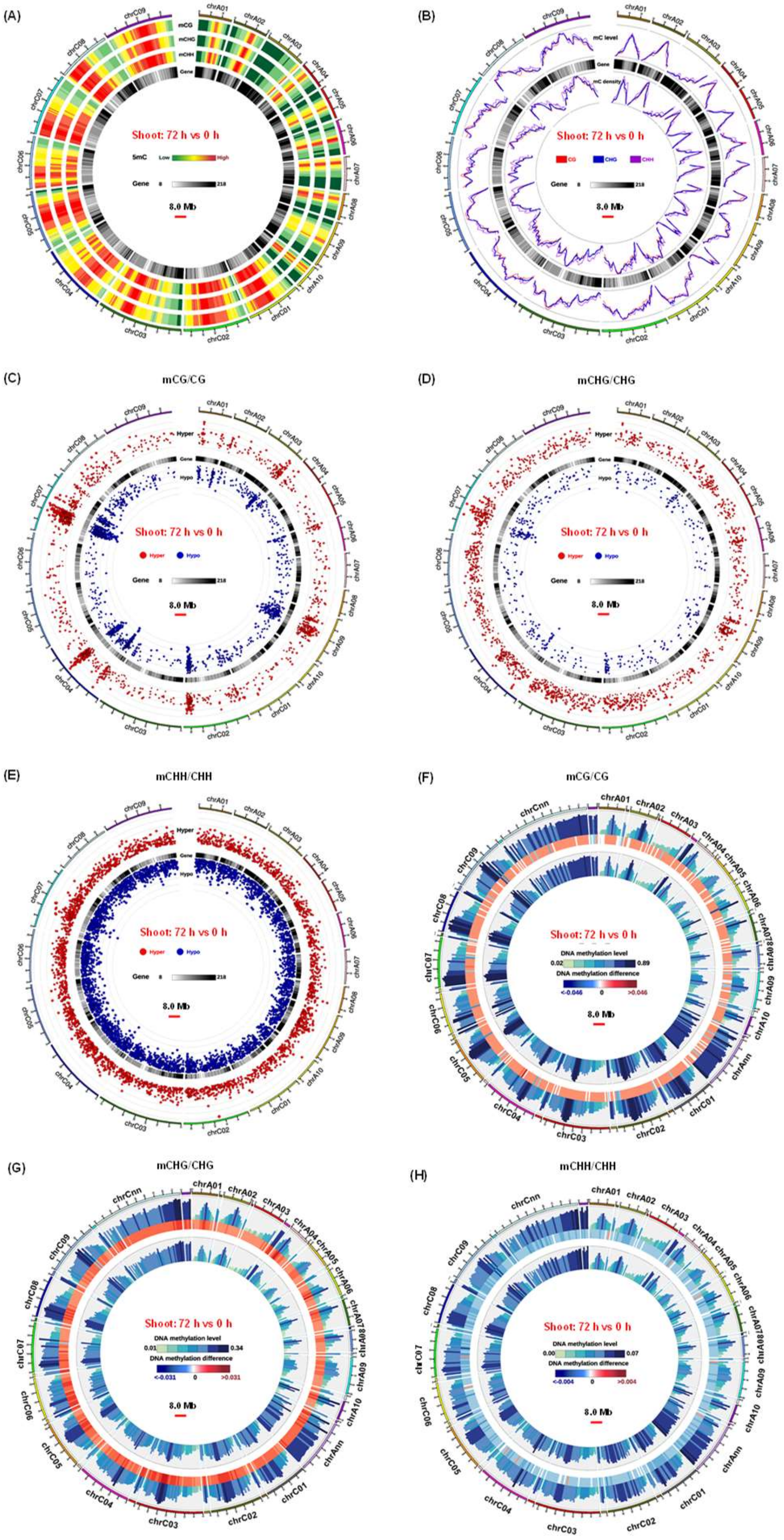 Ijms 21 08453 g003 Ijms 21 08453 g003