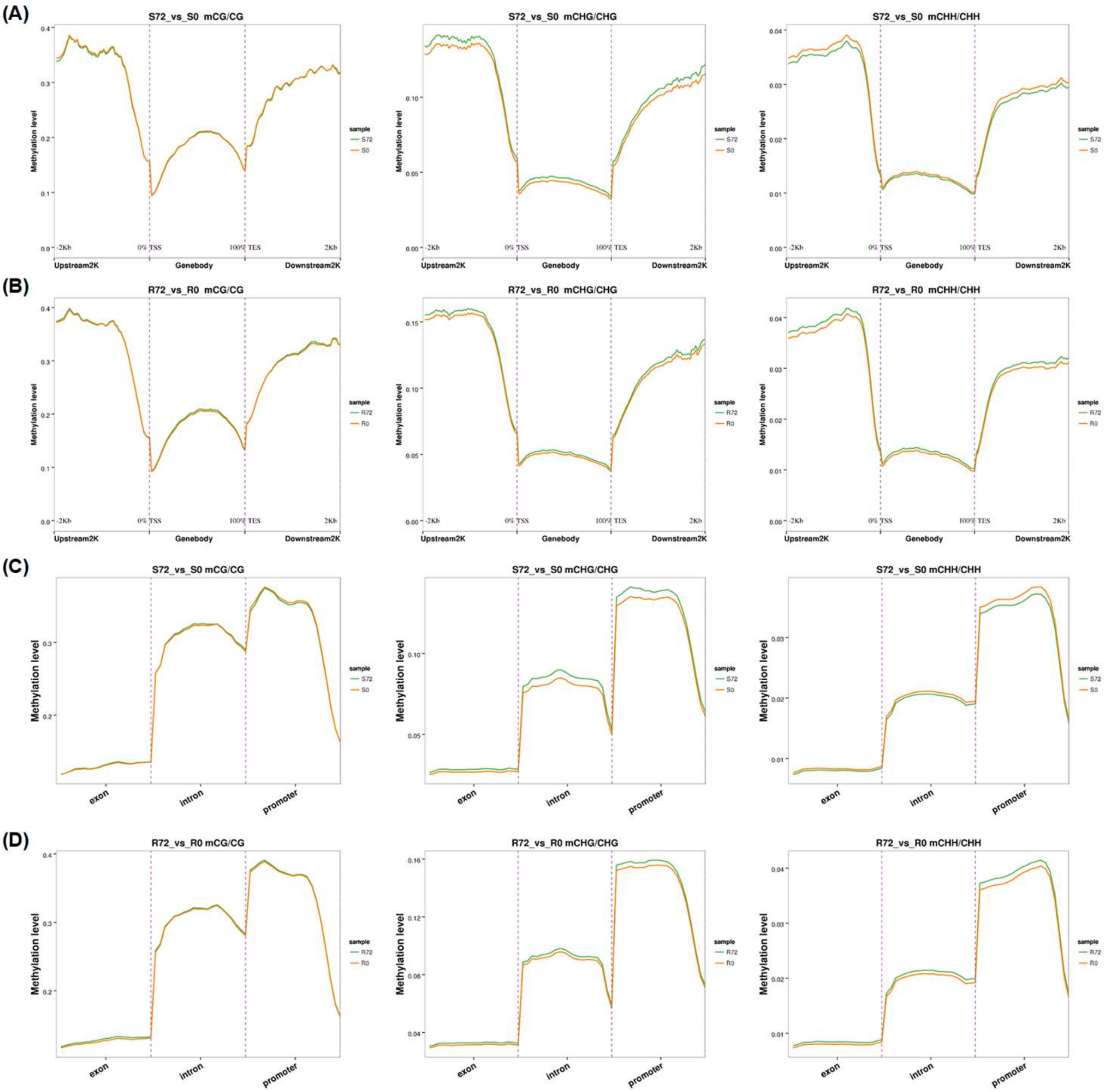 Ijms 21 08453 g004 Ijms 21 08453 g004