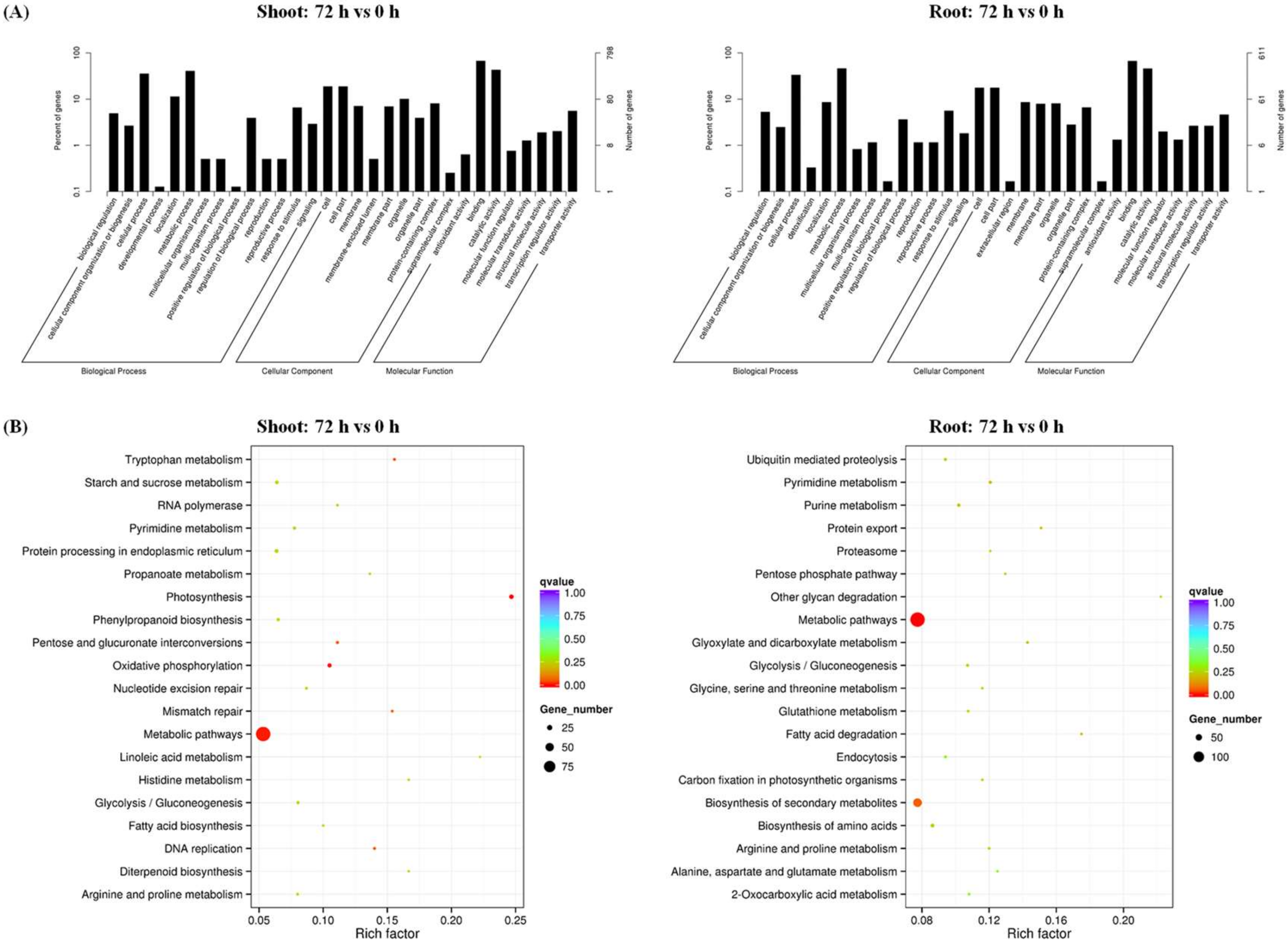Ijms 21 08453 g005 Ijms 21 08453 g005