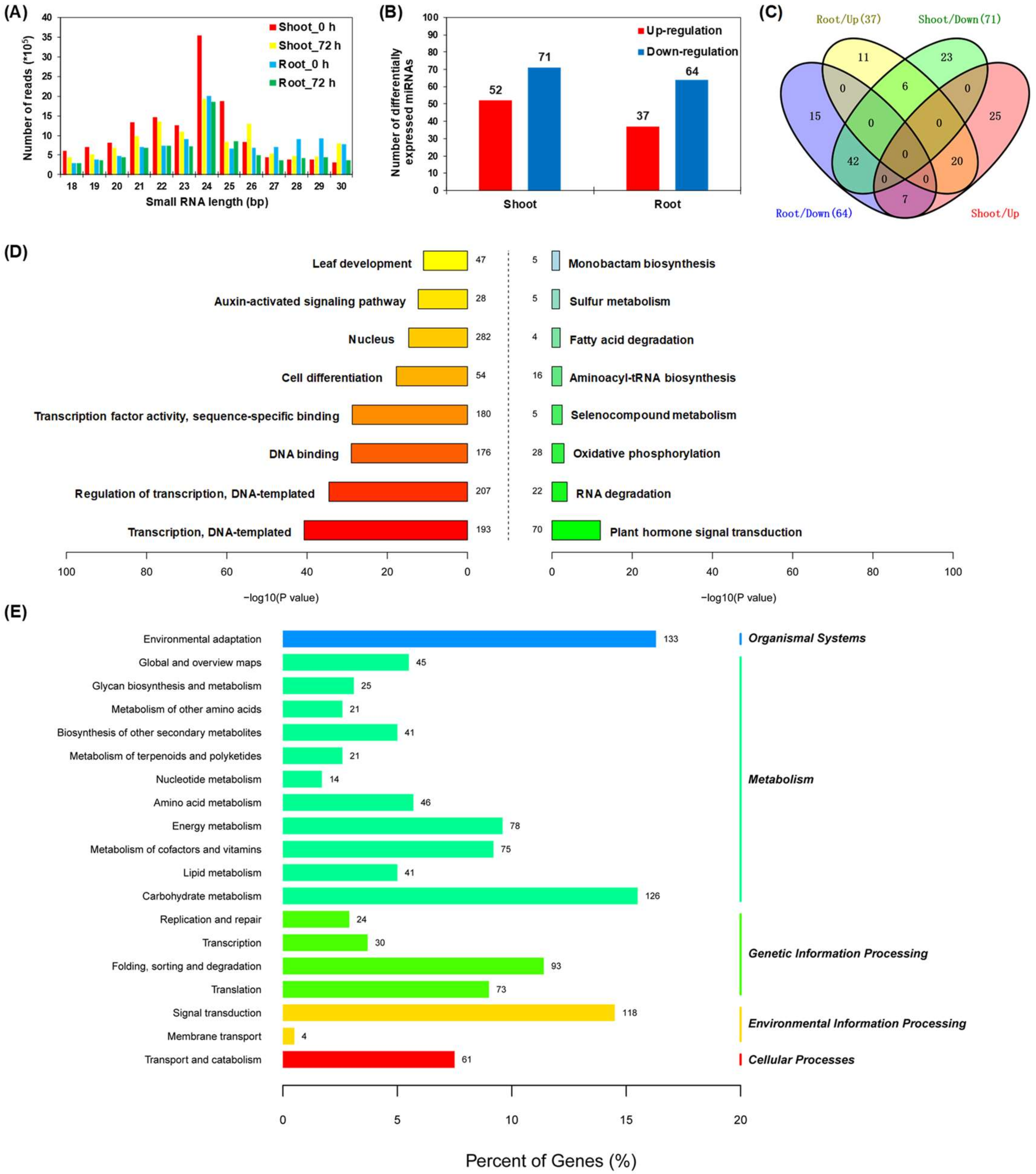 Ijms 21 08453 g006 Ijms 21 08453 g006