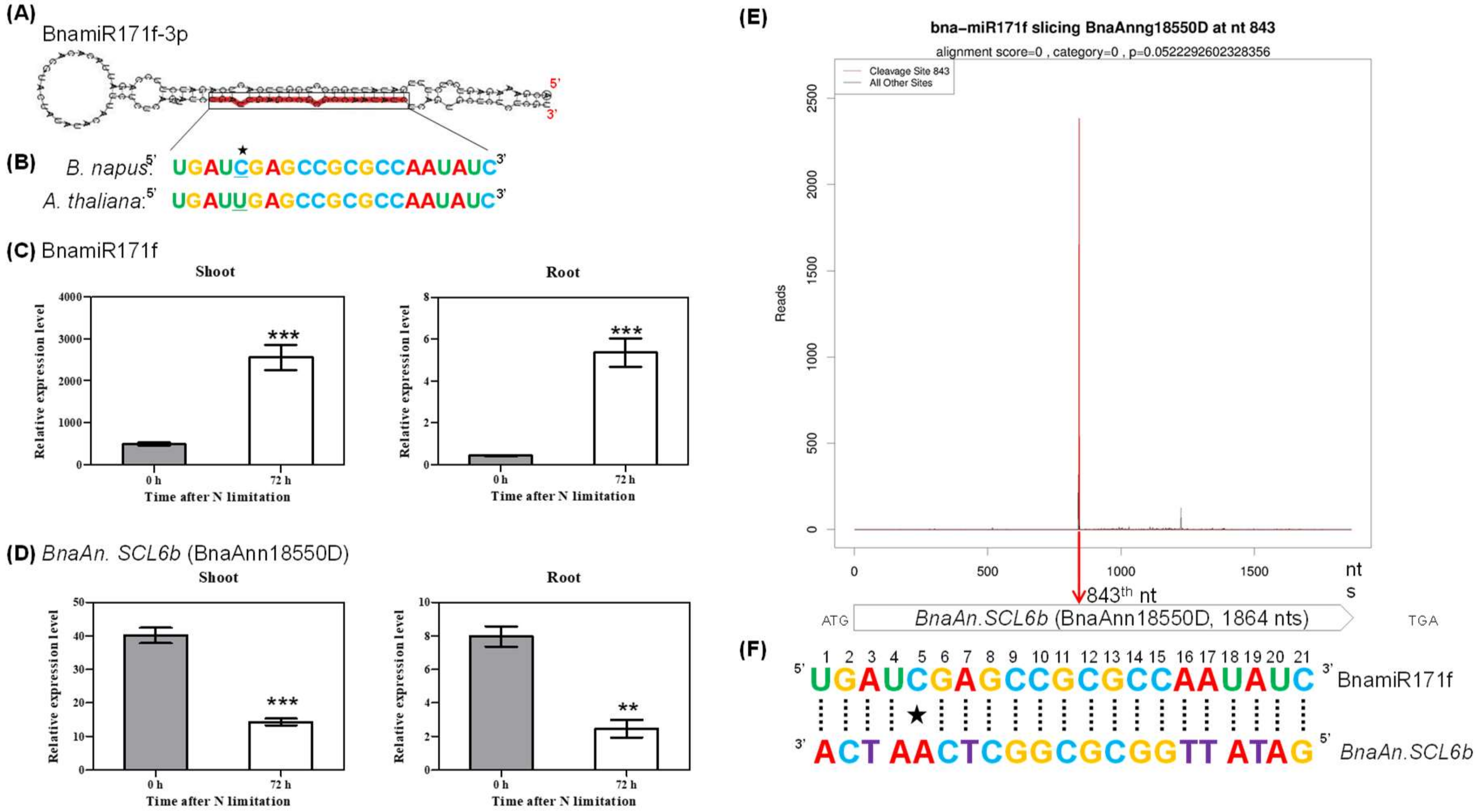 Ijms 21 08453 g008 Ijms 21 08453 g008